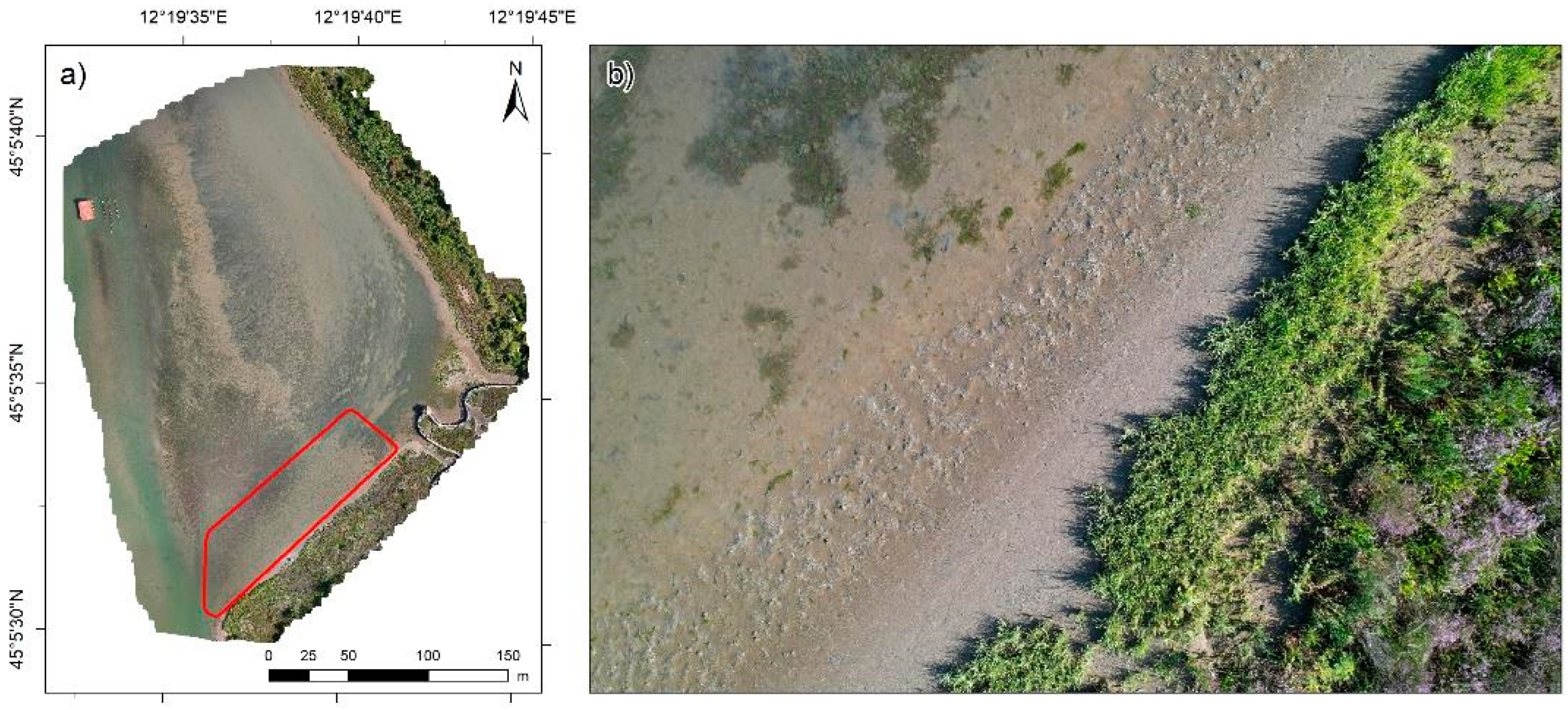 Preprints 144706 g003