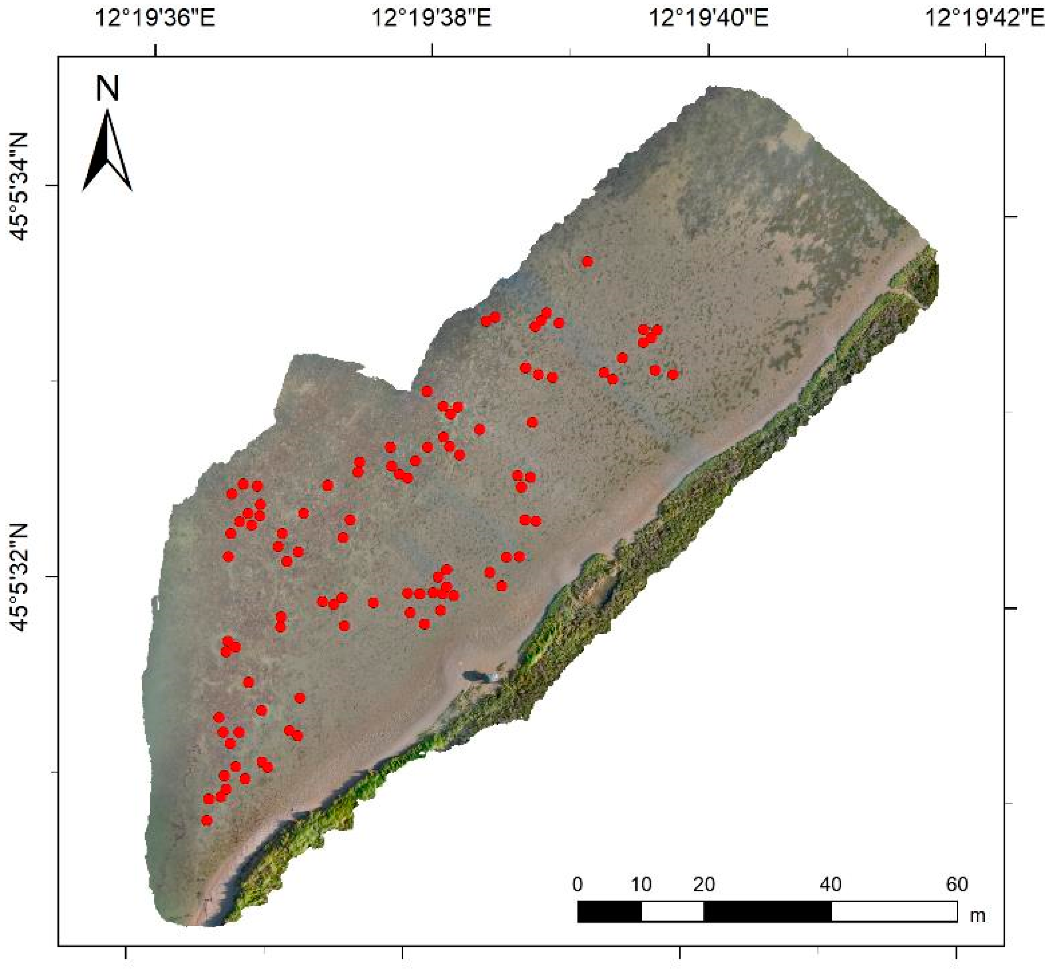Preprints 144706 g008