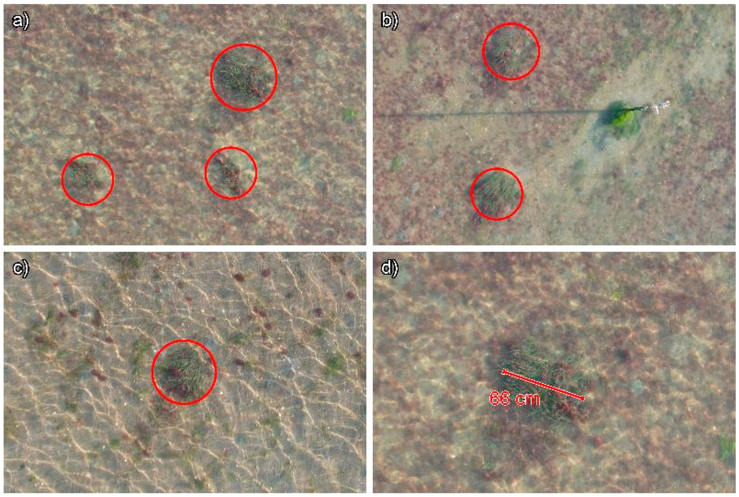 Preprints 144706 g009