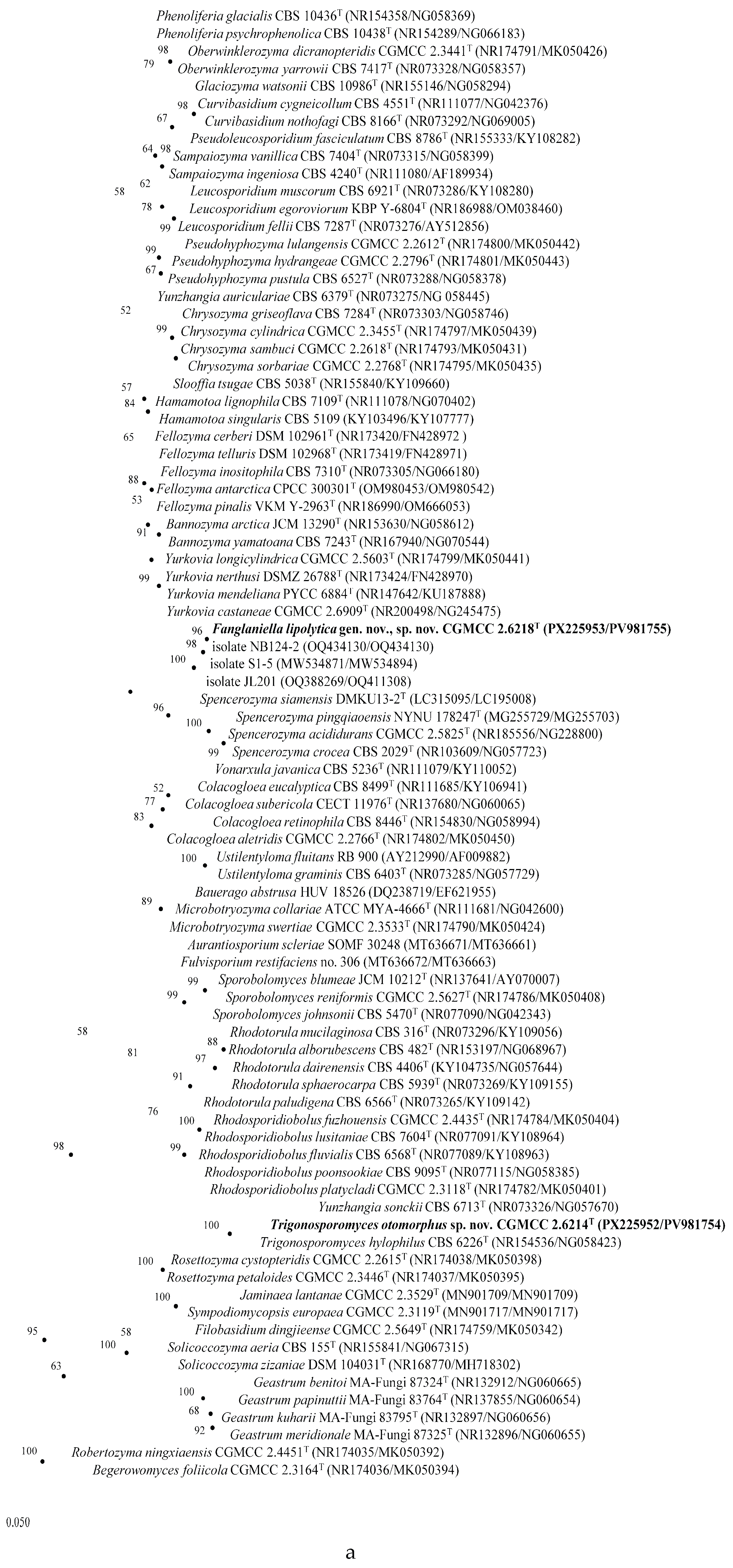 Preprints 217943 g002a Preprints 217943 g002a