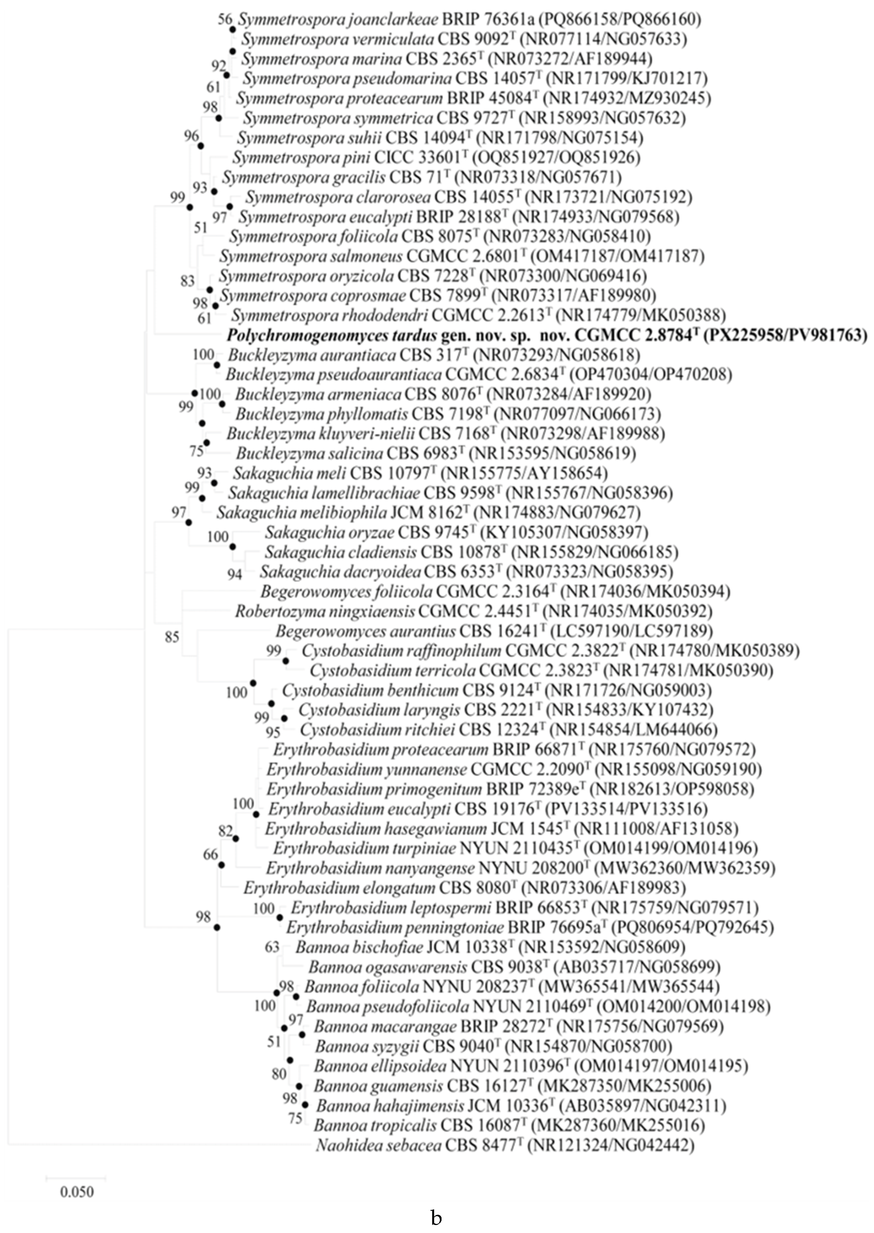 Preprints 217943 g002b Preprints 217943 g002b