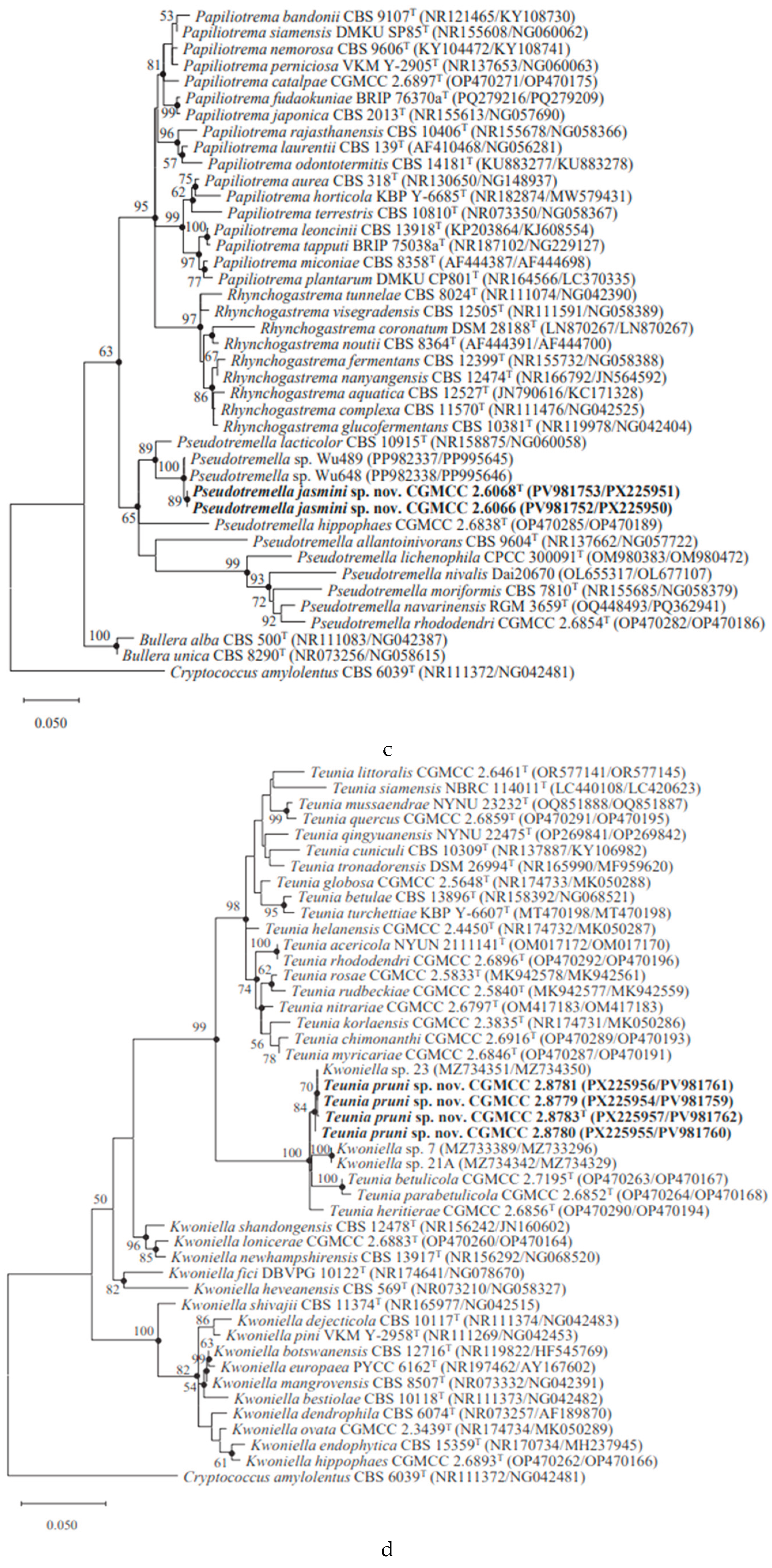Preprints 217943 g002c Preprints 217943 g002c