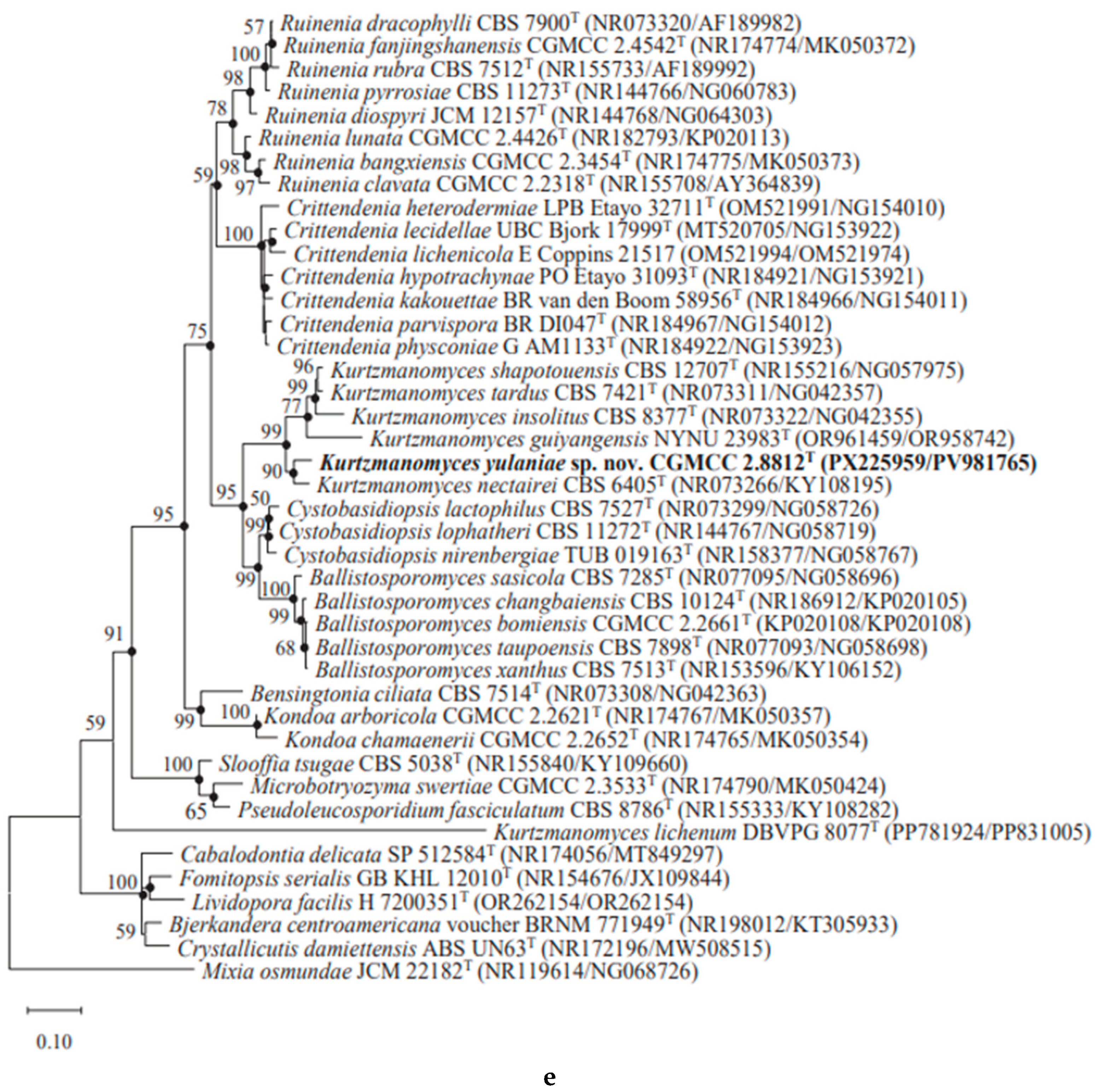 Preprints 217943 g002d