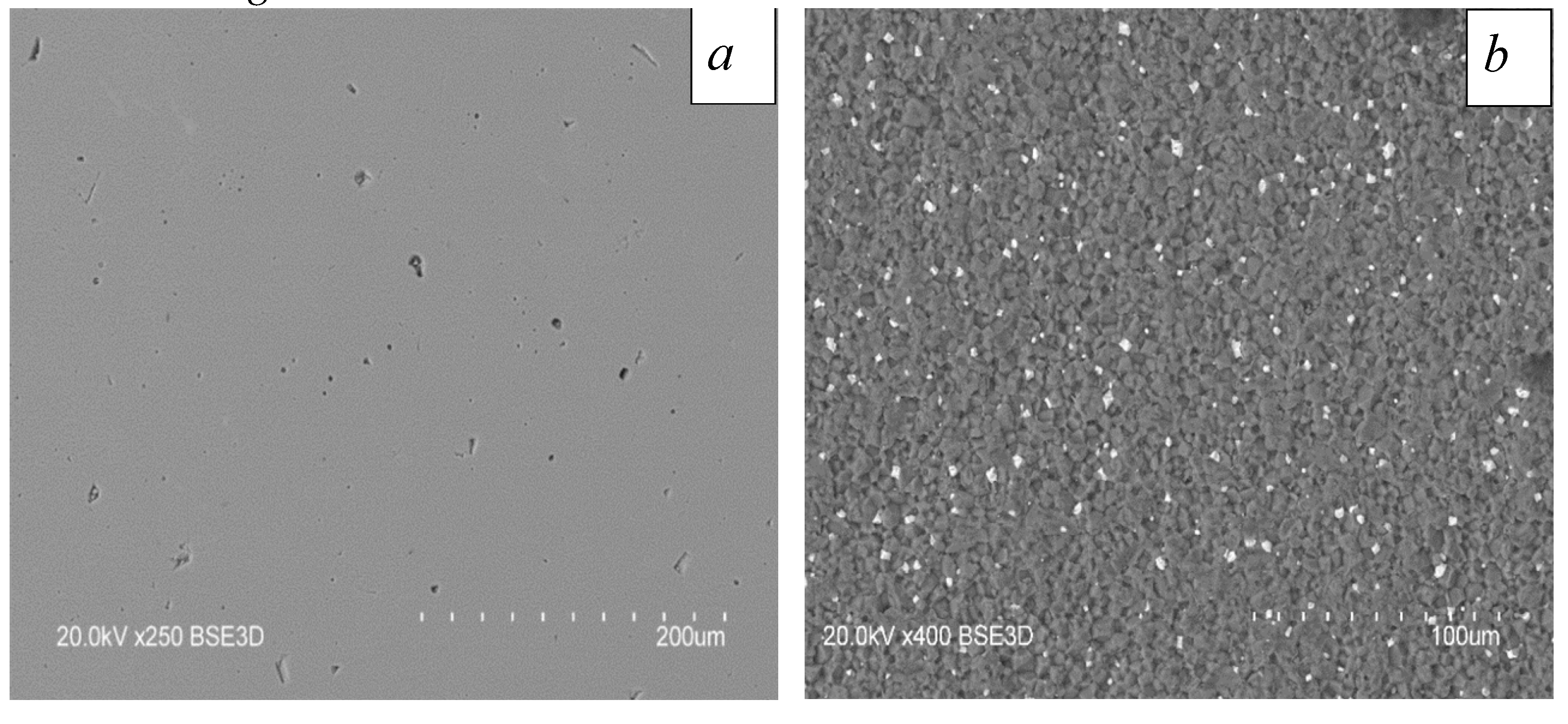 Preprints 83661 g001