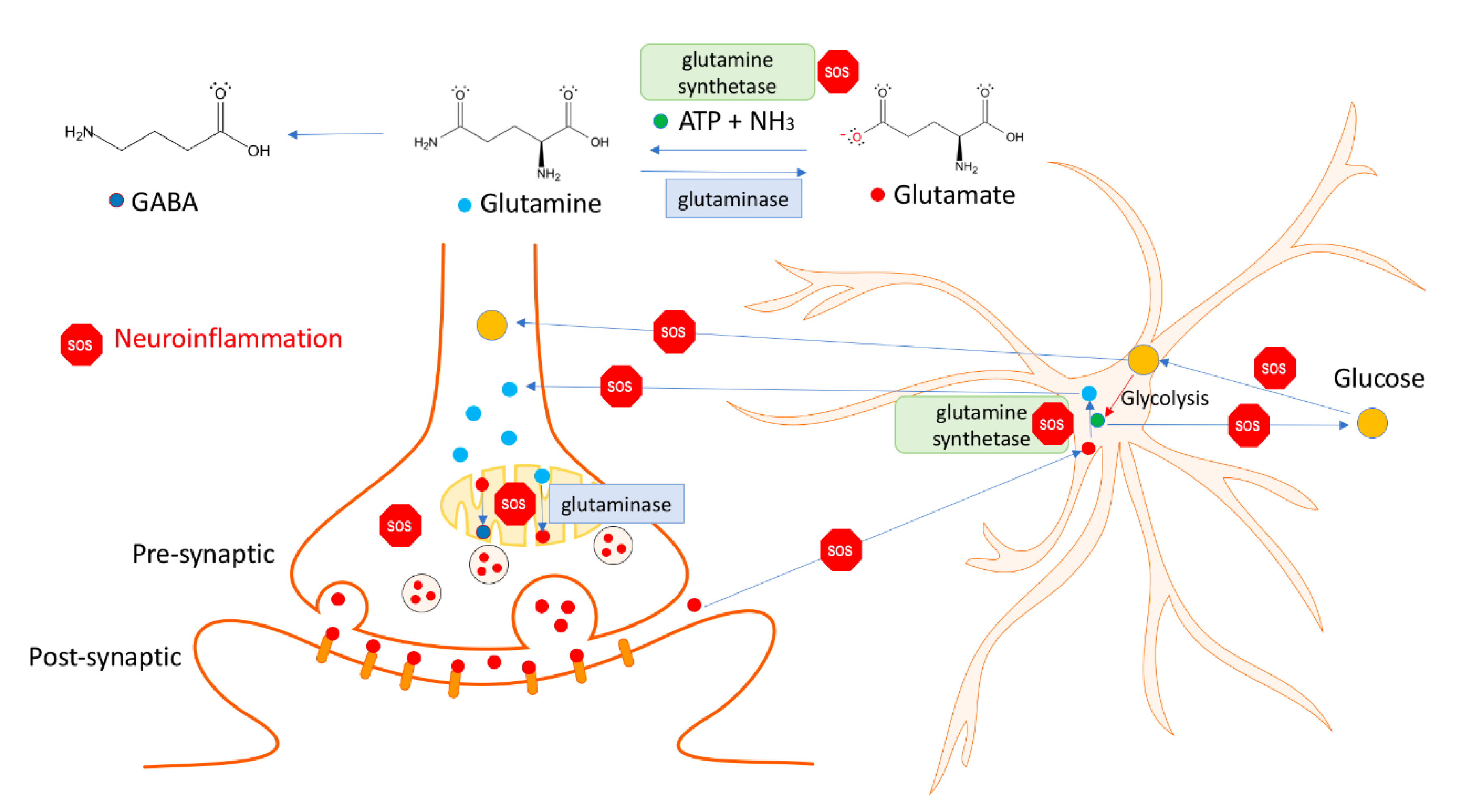 Preprints 147352 g004