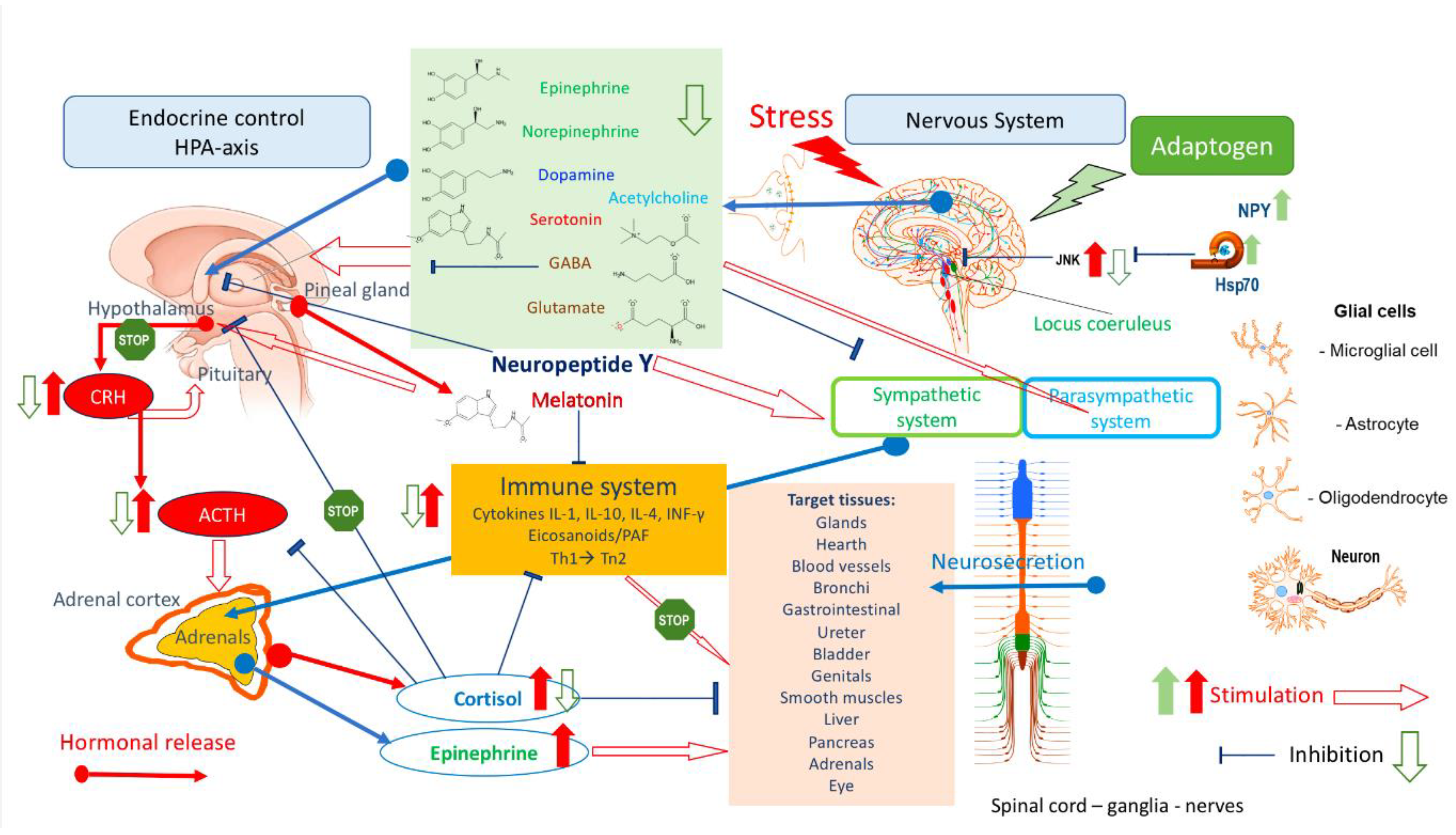 Preprints 147352 g005