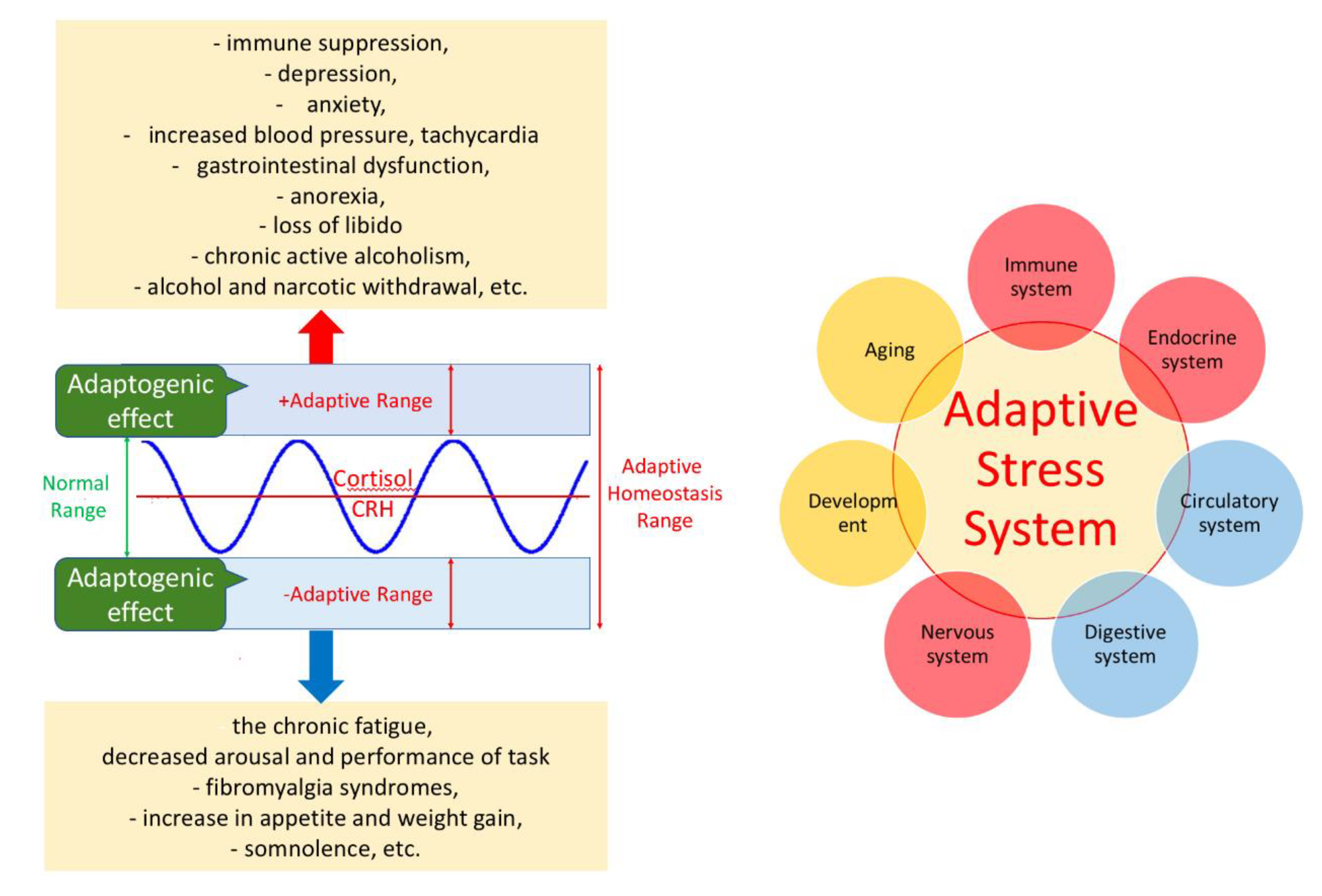 Preprints 147352 g006
