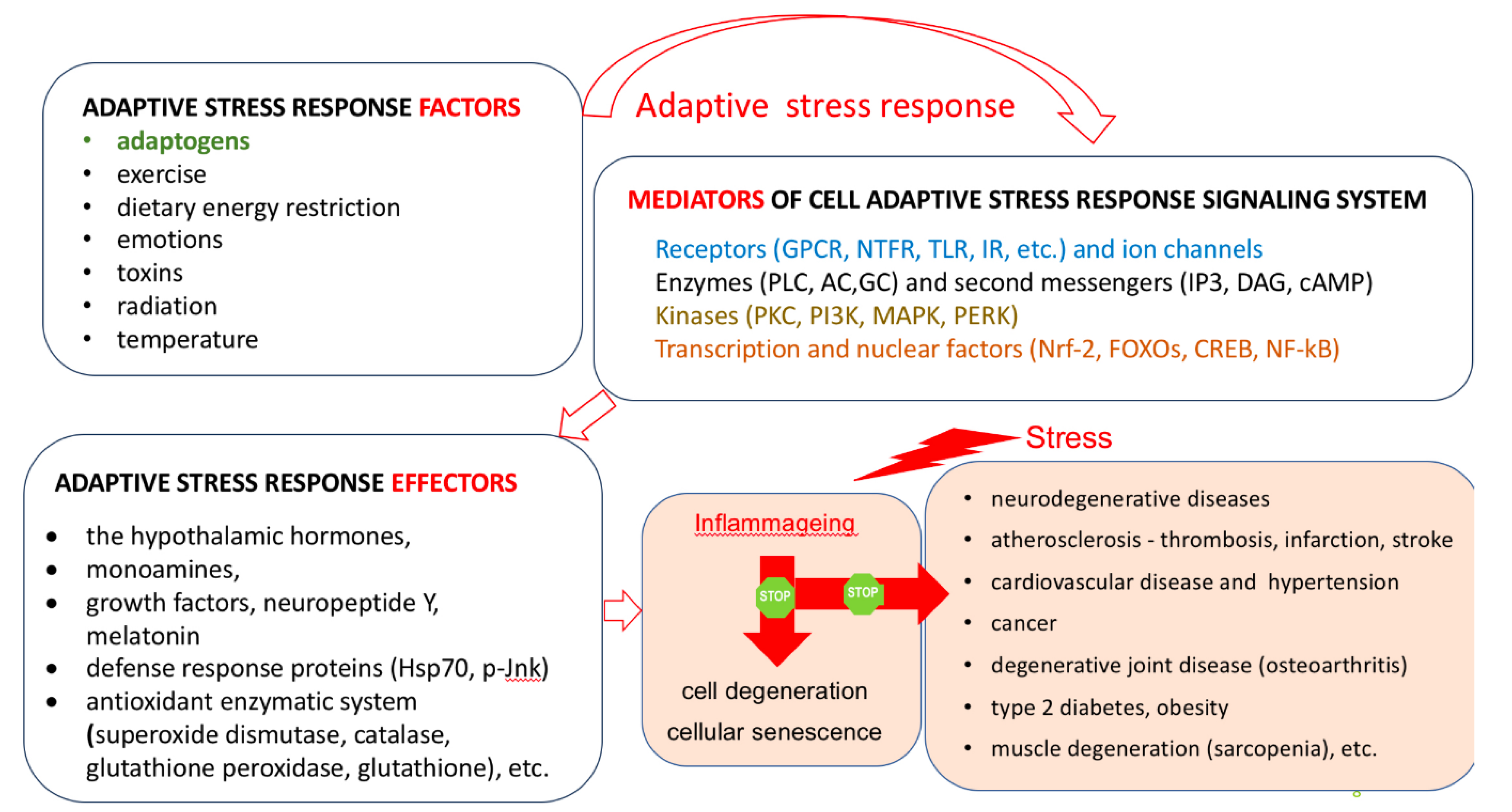 Preprints 147352 g007