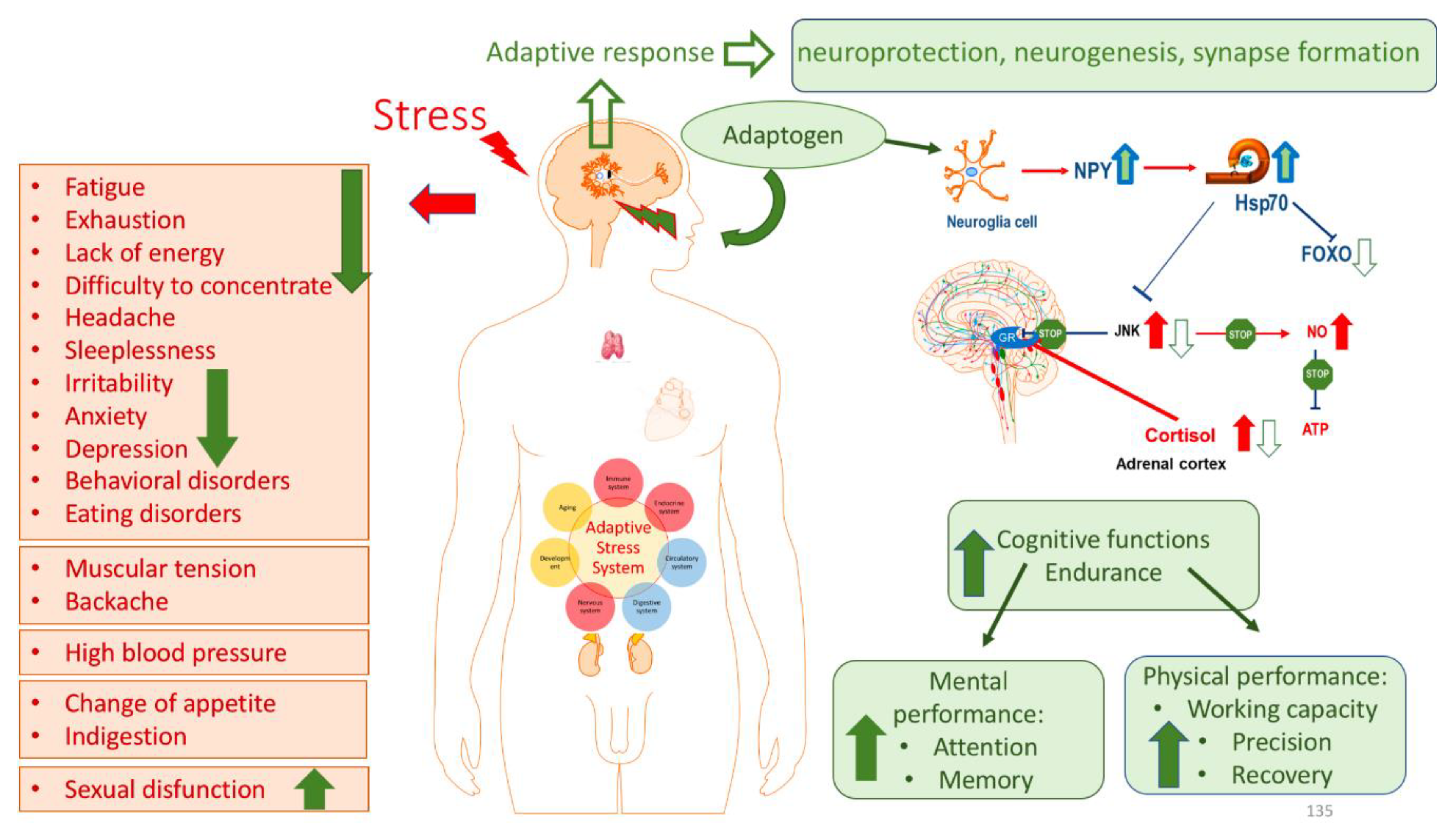 Preprints 147352 g008