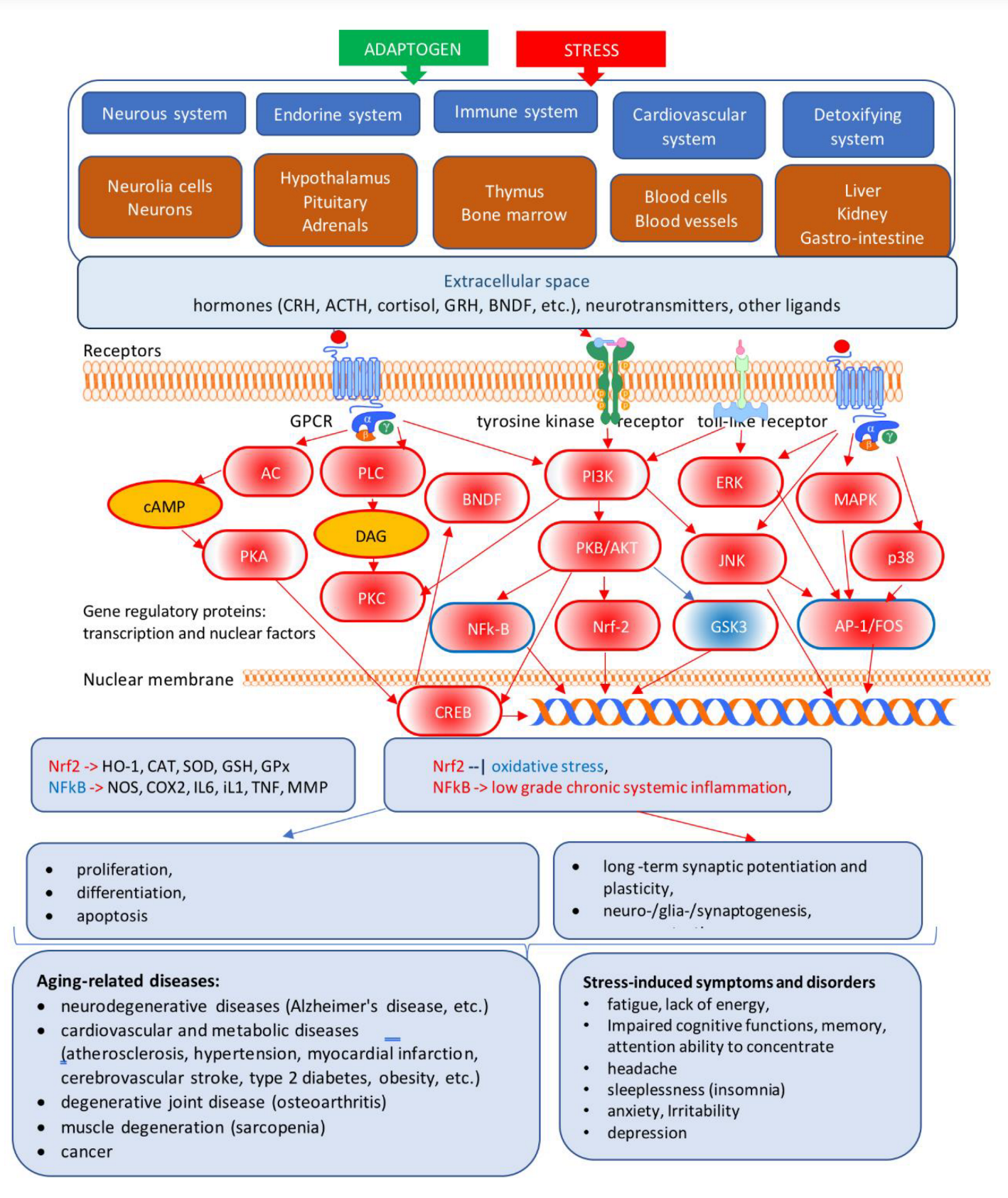 Preprints 147352 g009