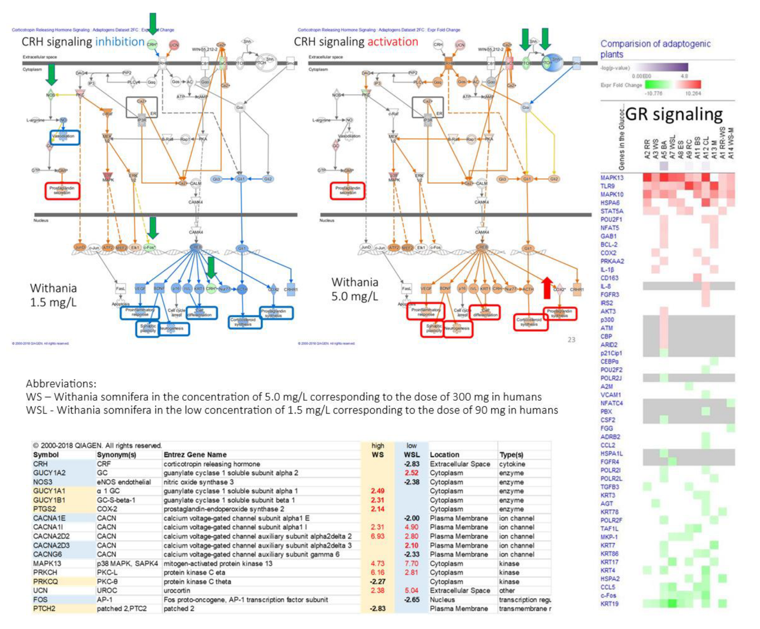 Preprints 147352 g014