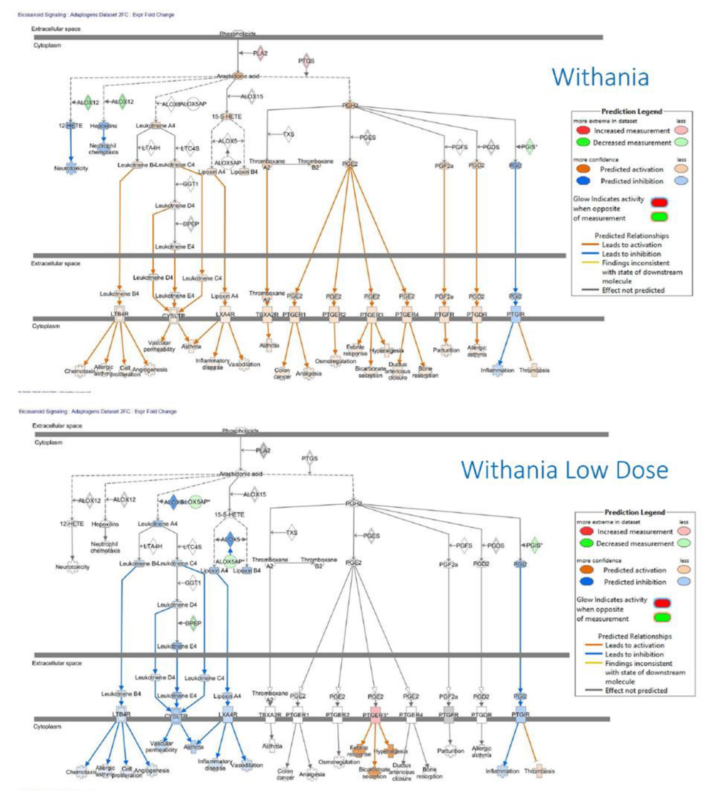 Preprints 147352 g016
