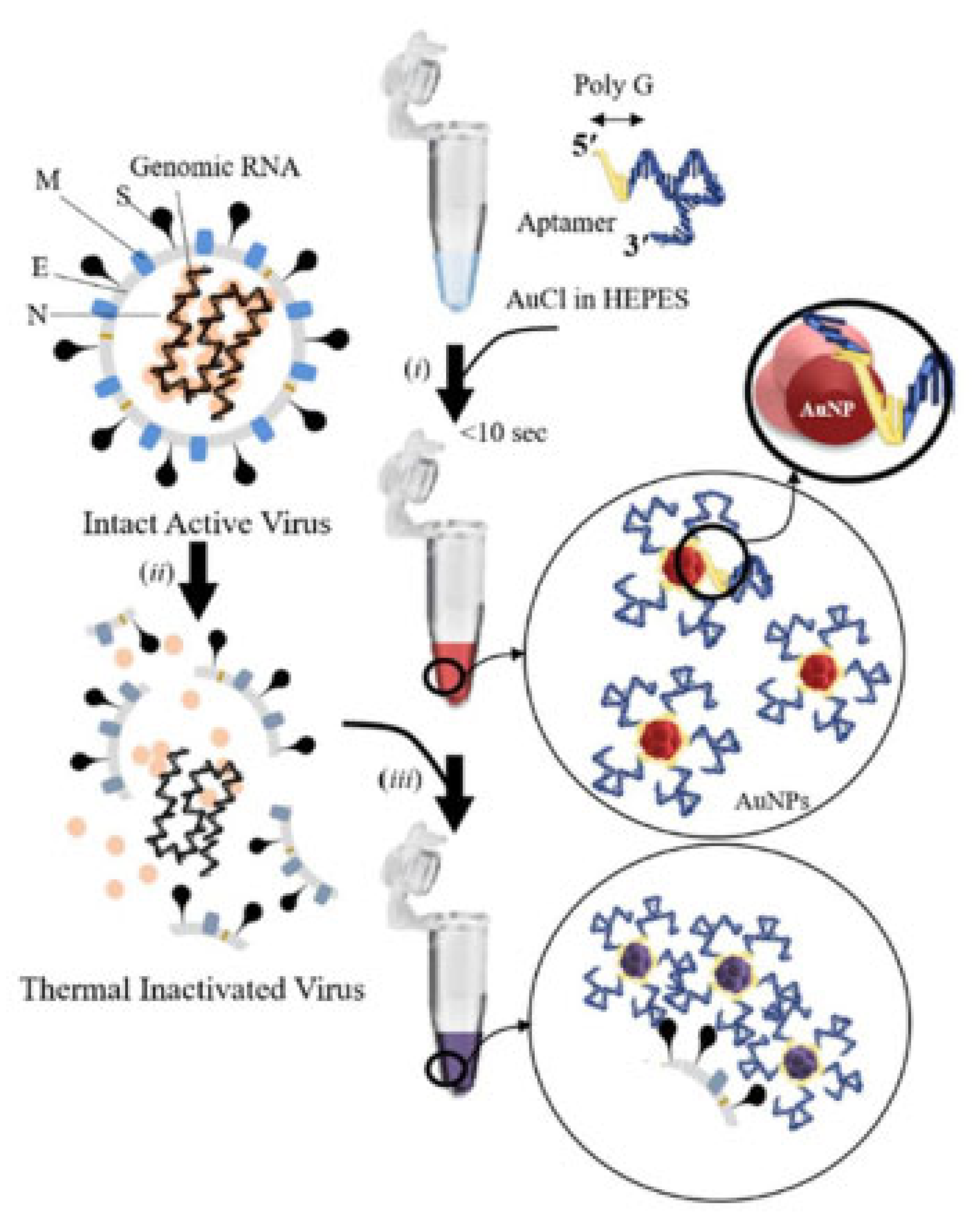 Preprints 178015 g003