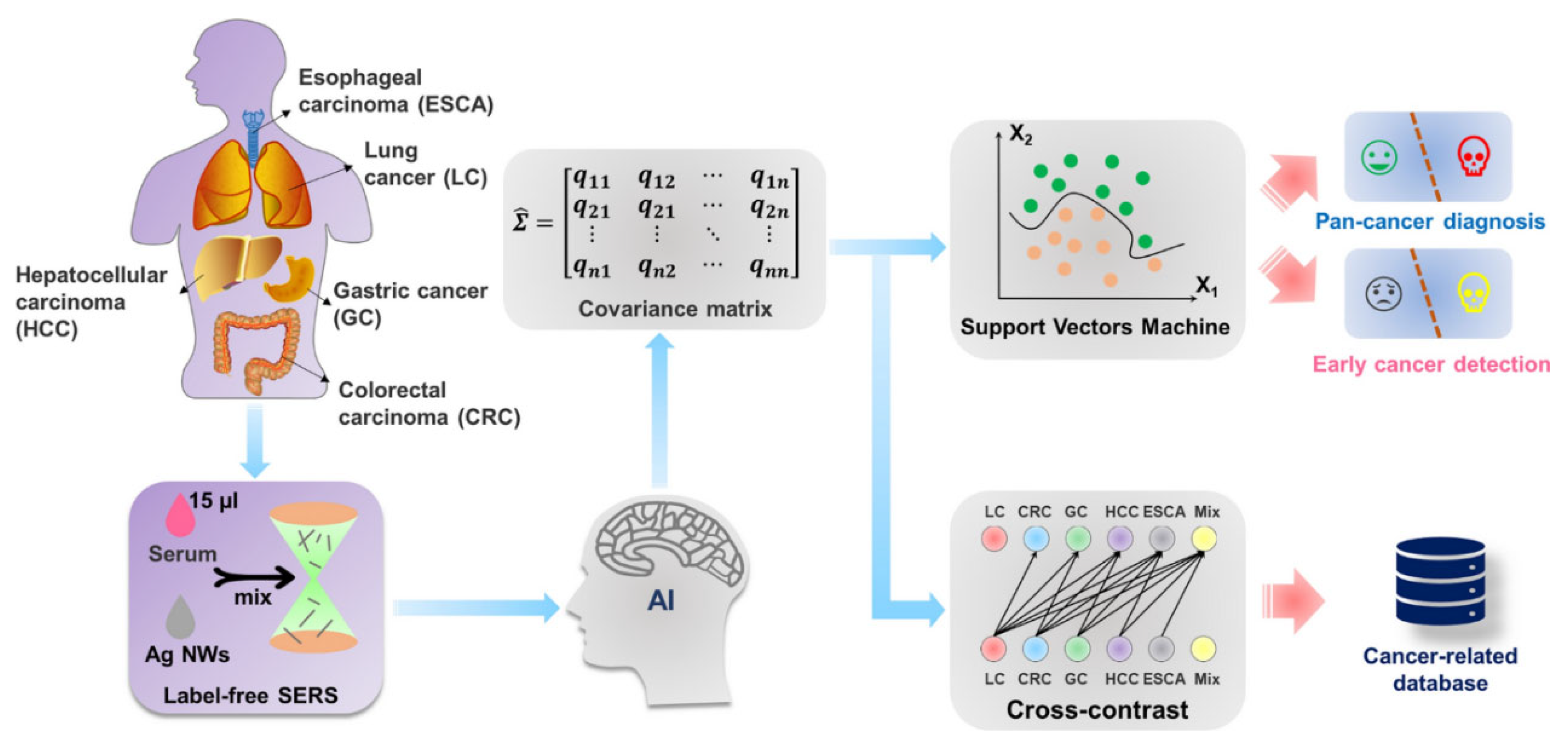 Preprints 178015 g005