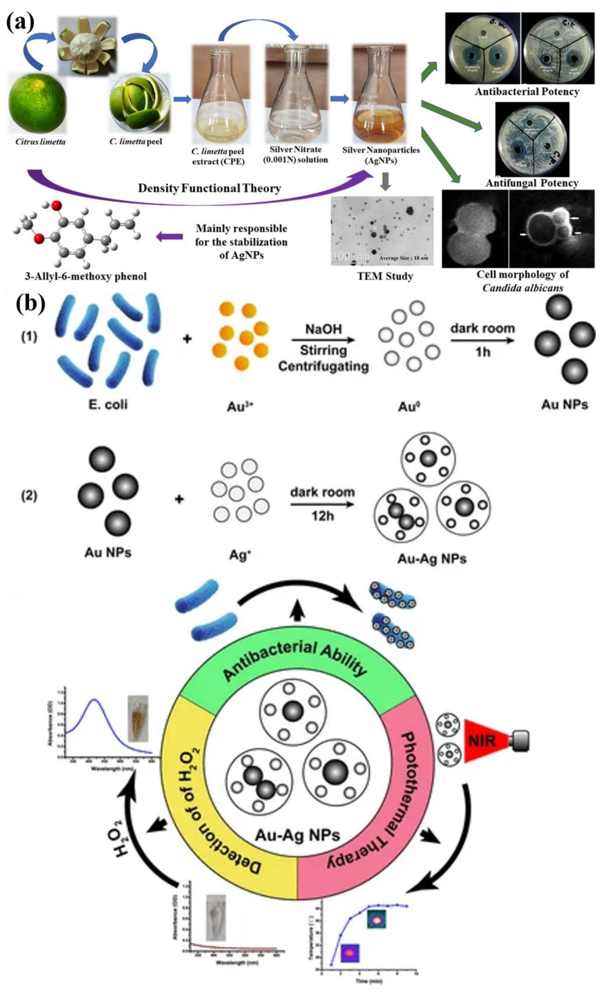 Preprints 219433 g003