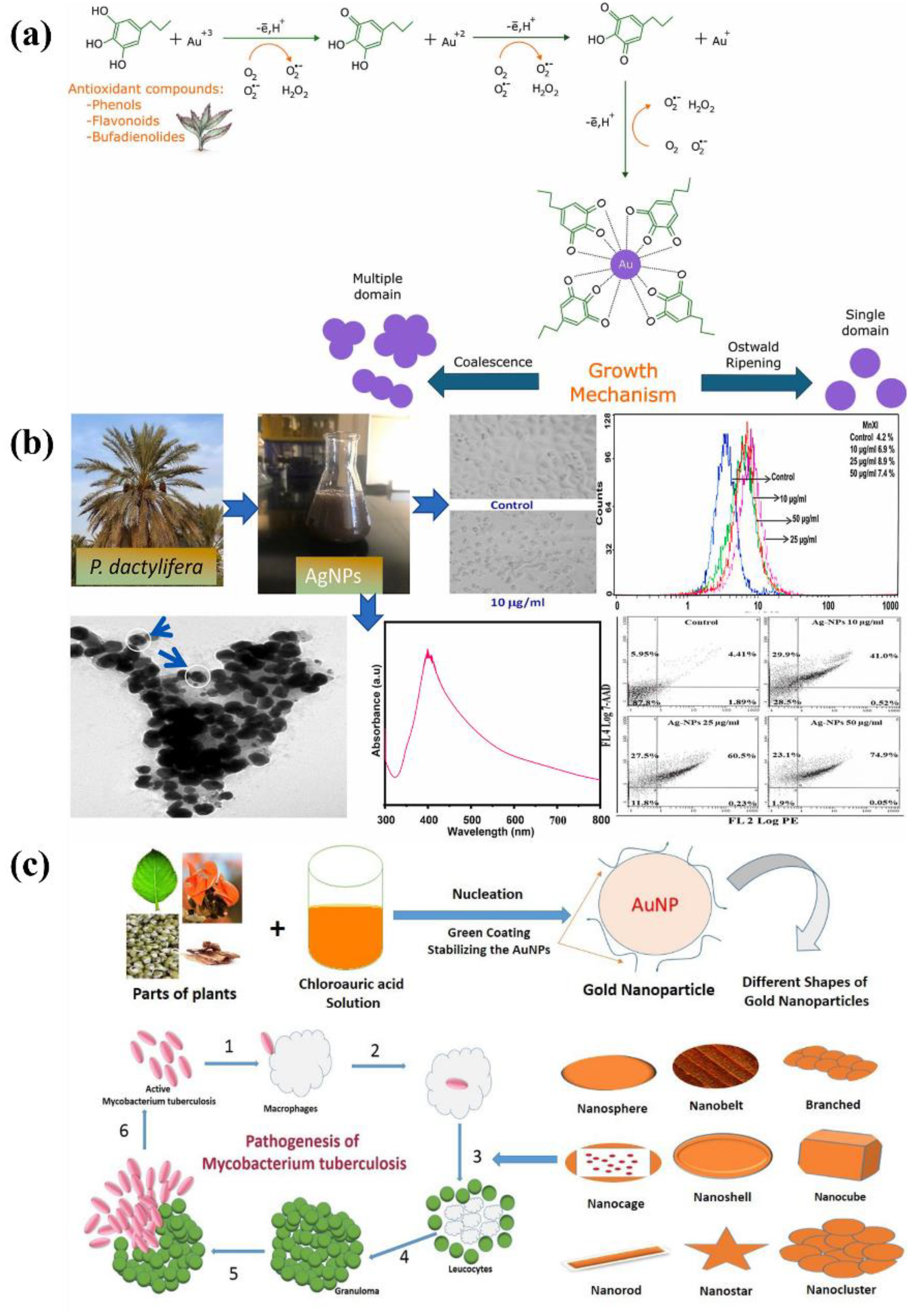 Preprints 219433 g004