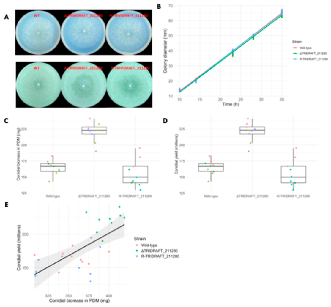 Preprints 225204 g002 Preprints 225204 g002