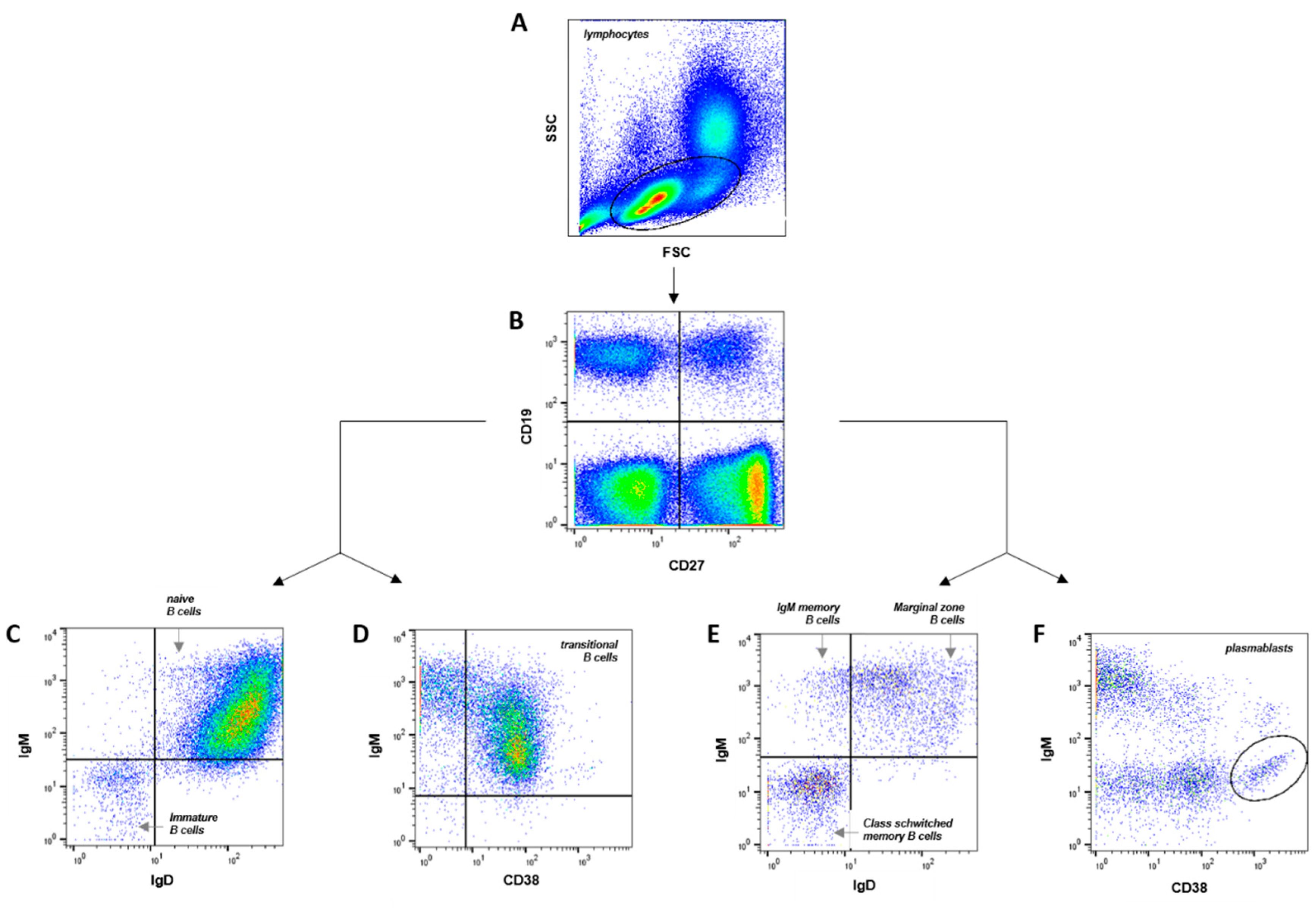 Preprints 76502 g001