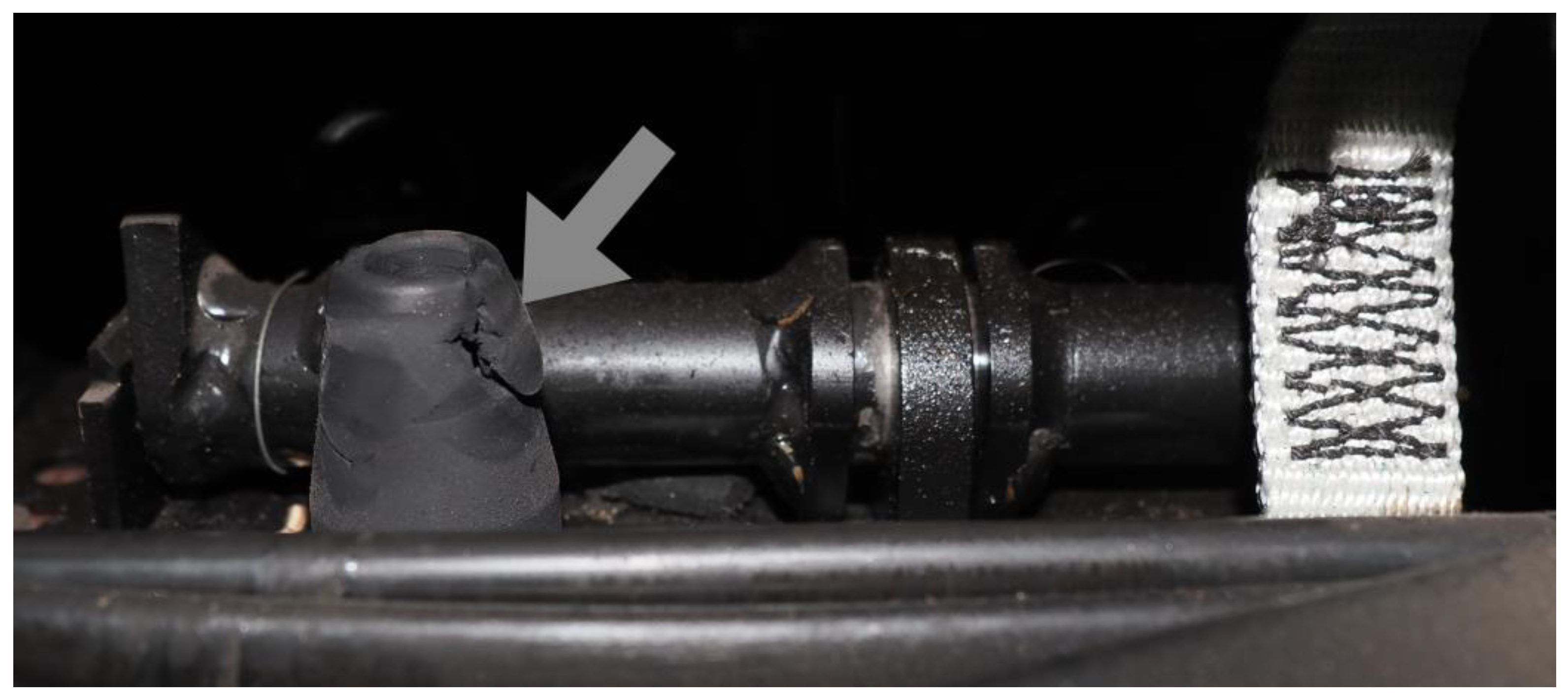 Preprints 192838 g004