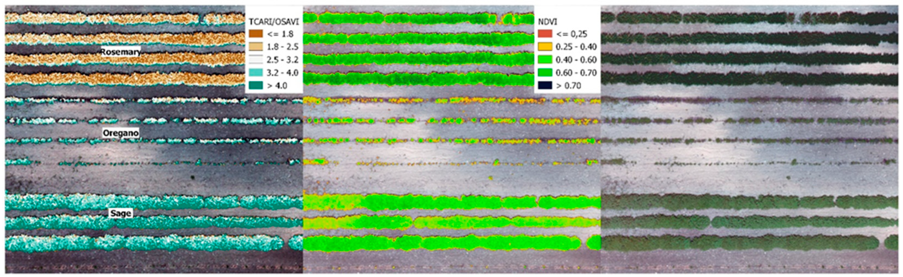 Preprints 147772 g002