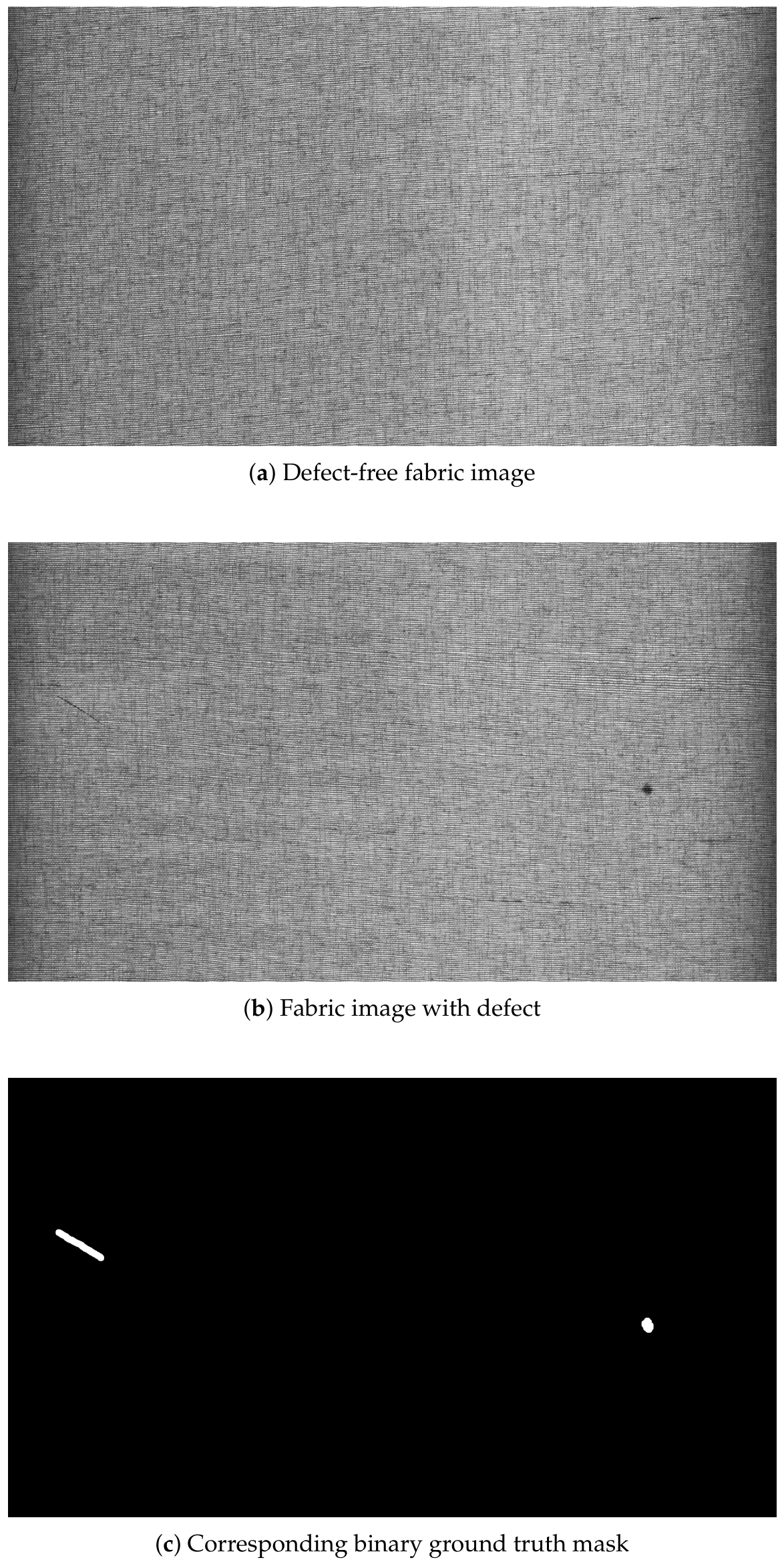 Preprints 208949 g001