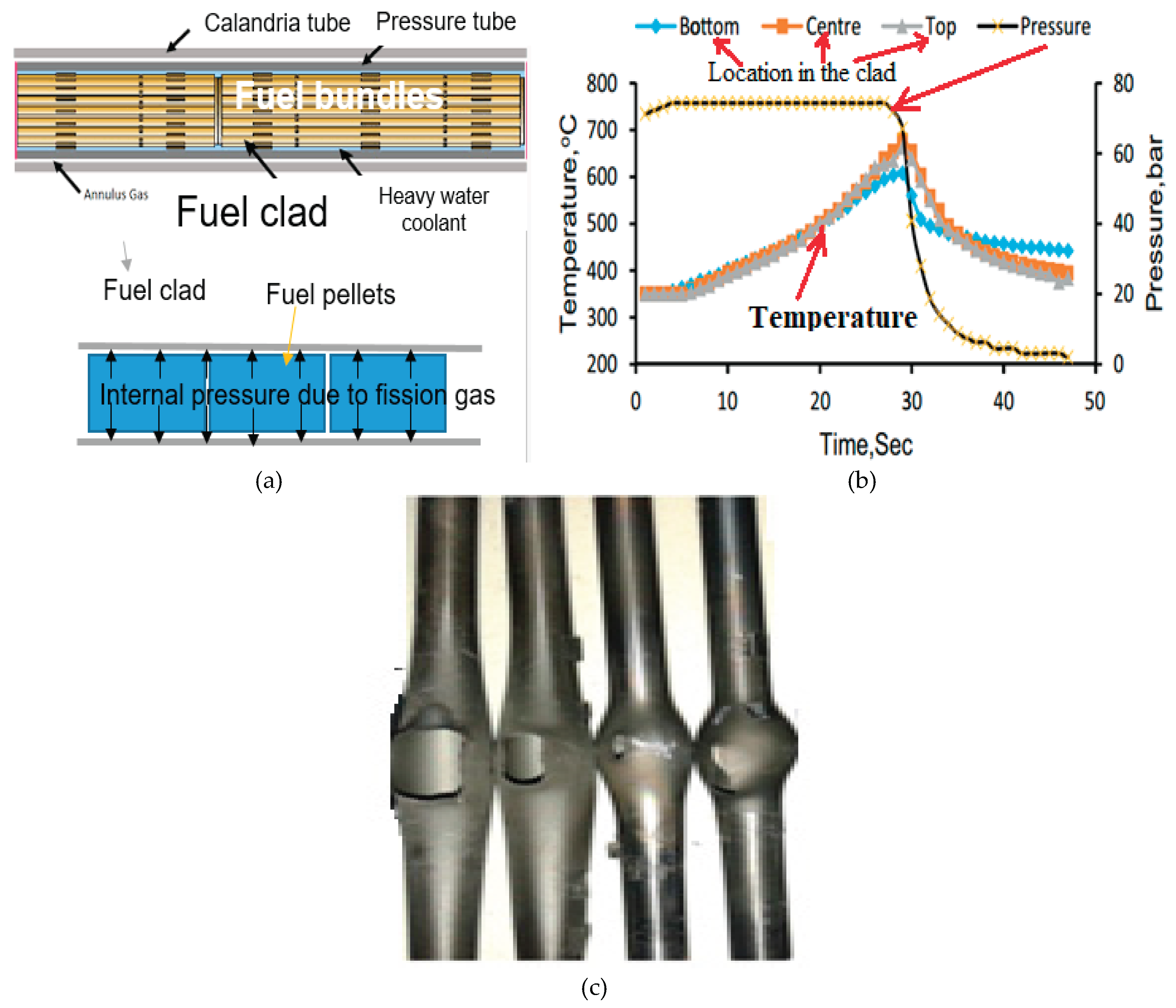 Preprints 165686 g001
