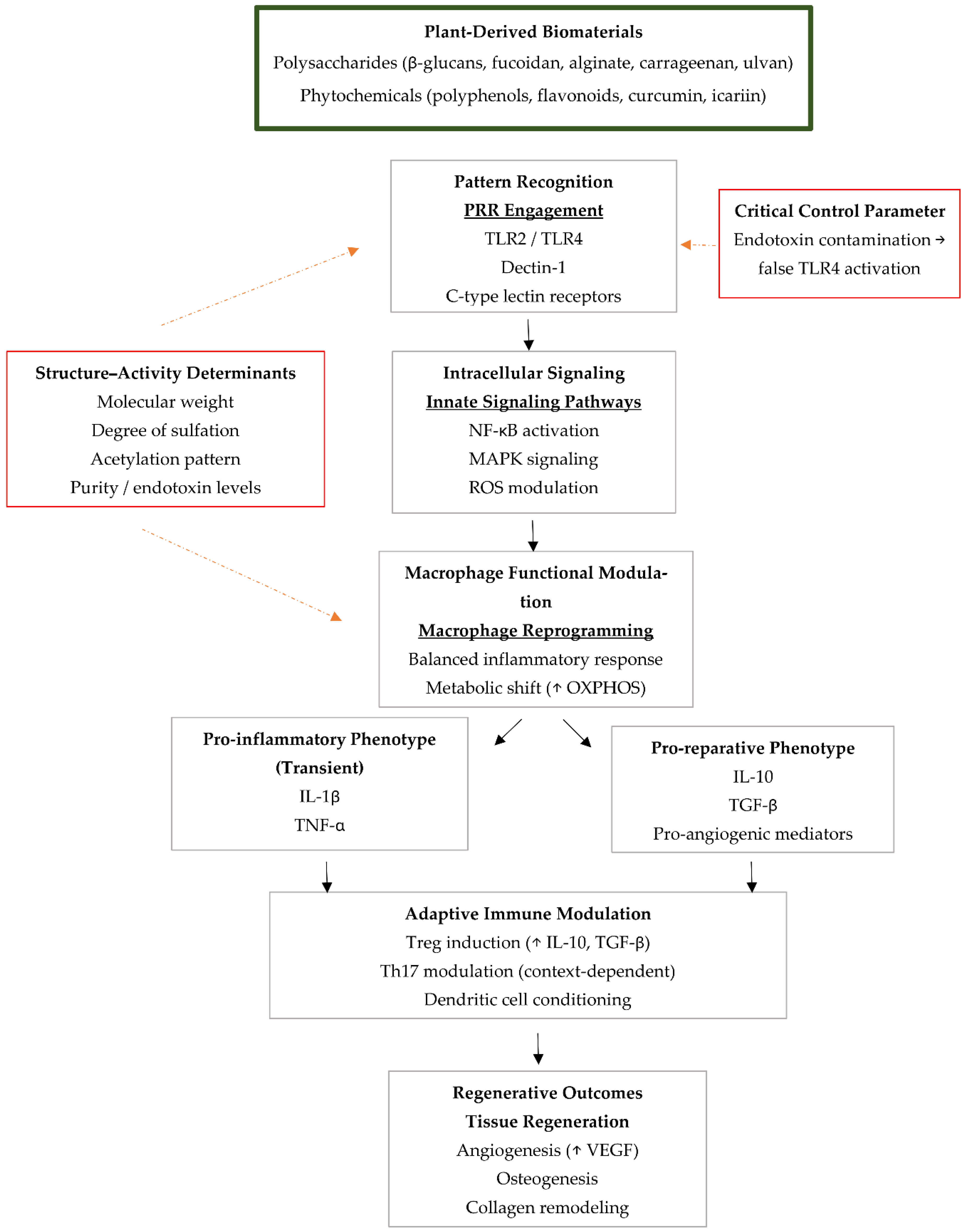 Preprints 201424 g001