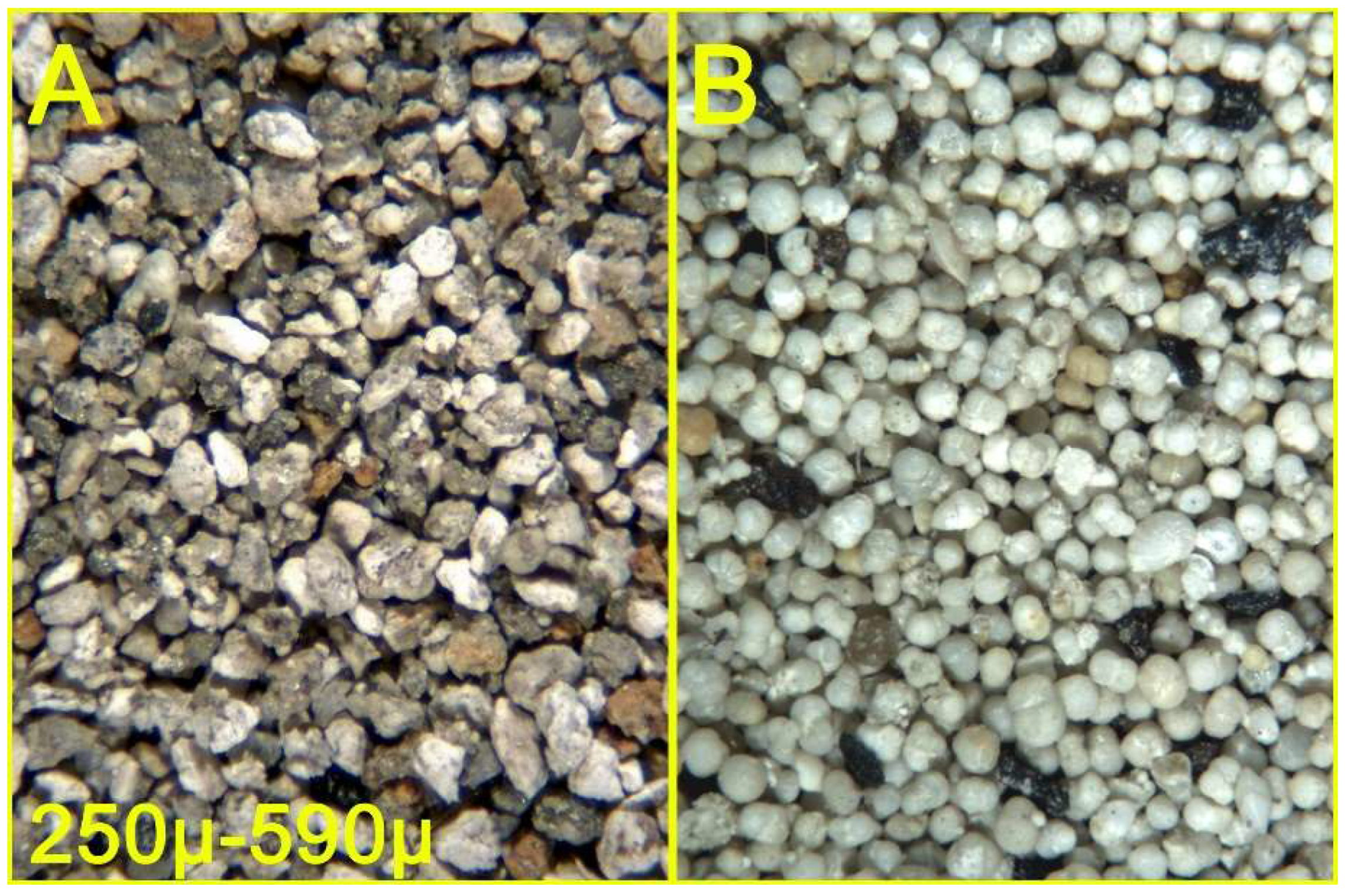 Preprints 147808 g010