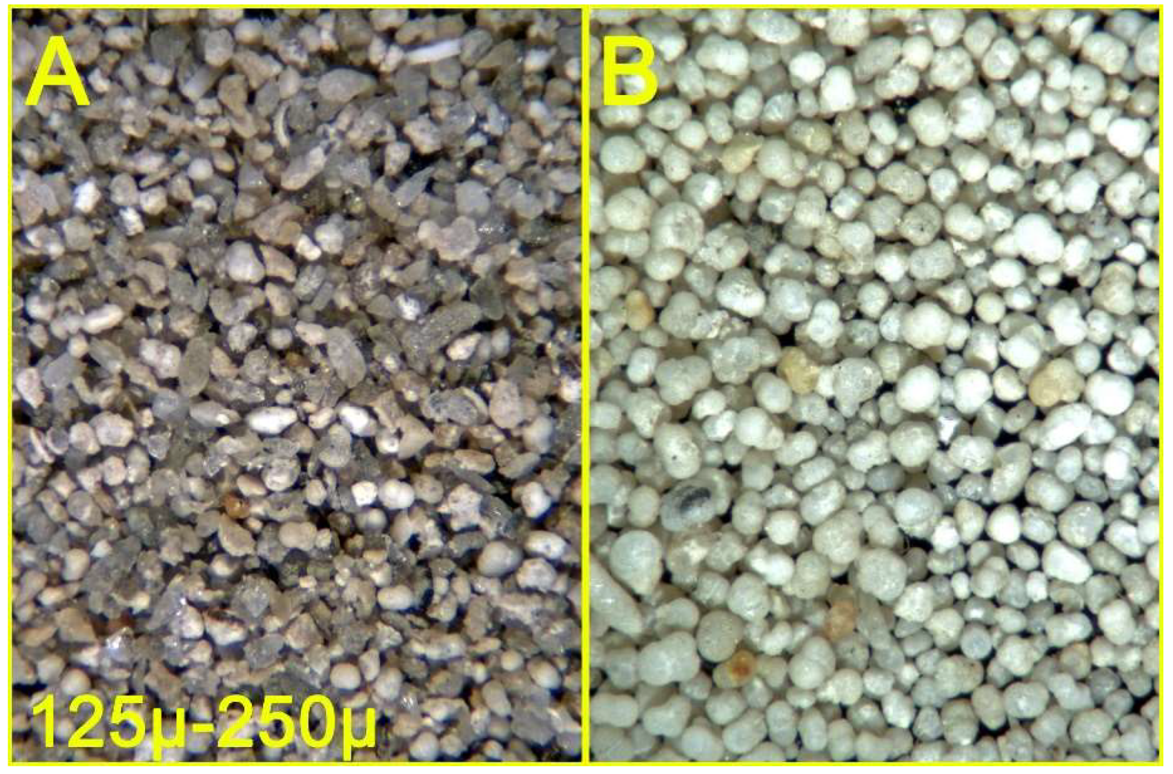 Preprints 147808 g011