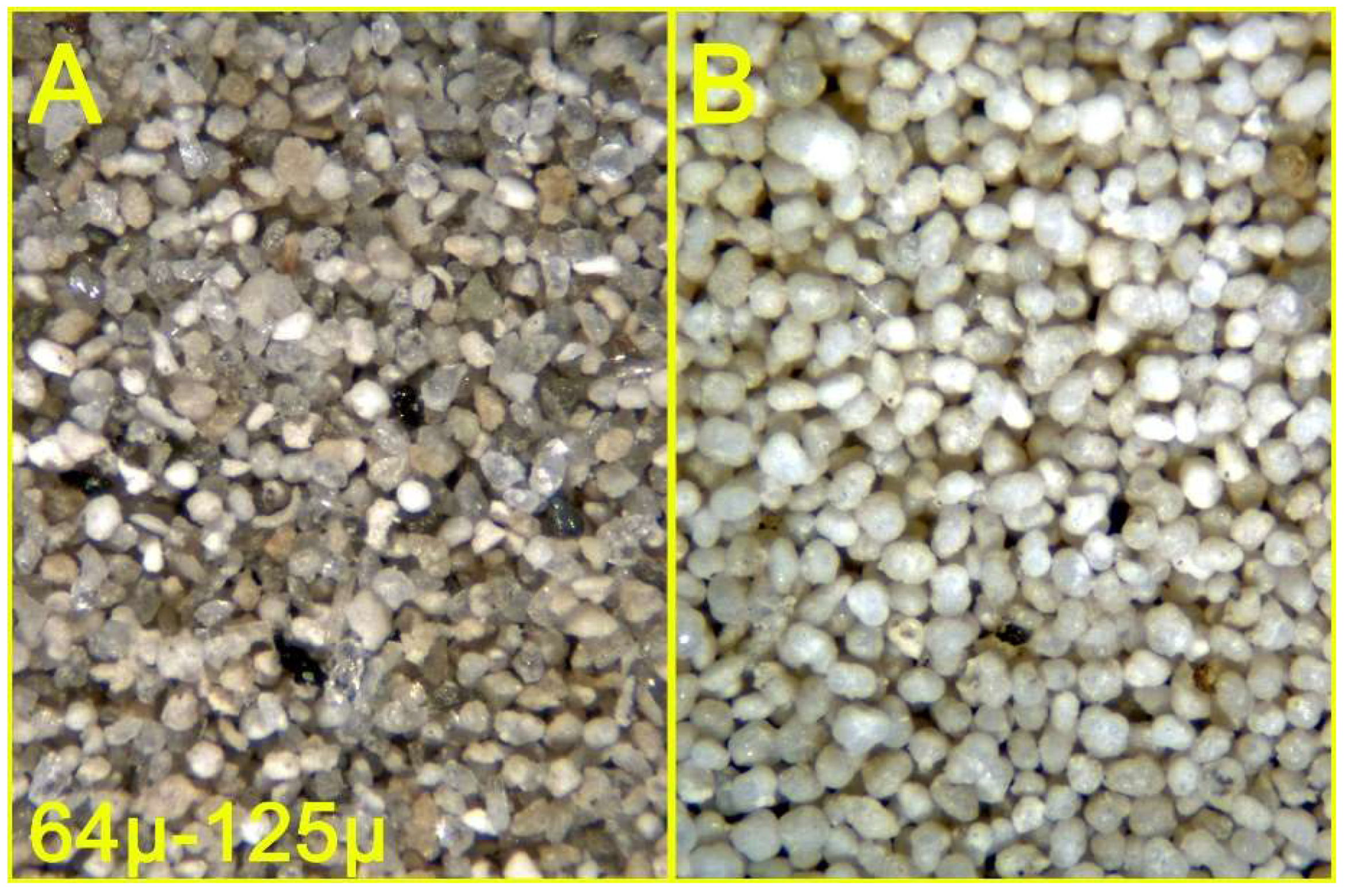 Preprints 147808 g012