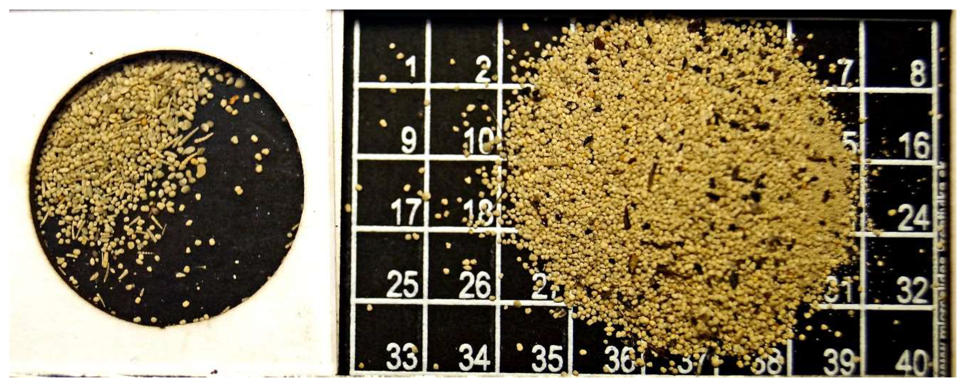 Preprints 147808 g013