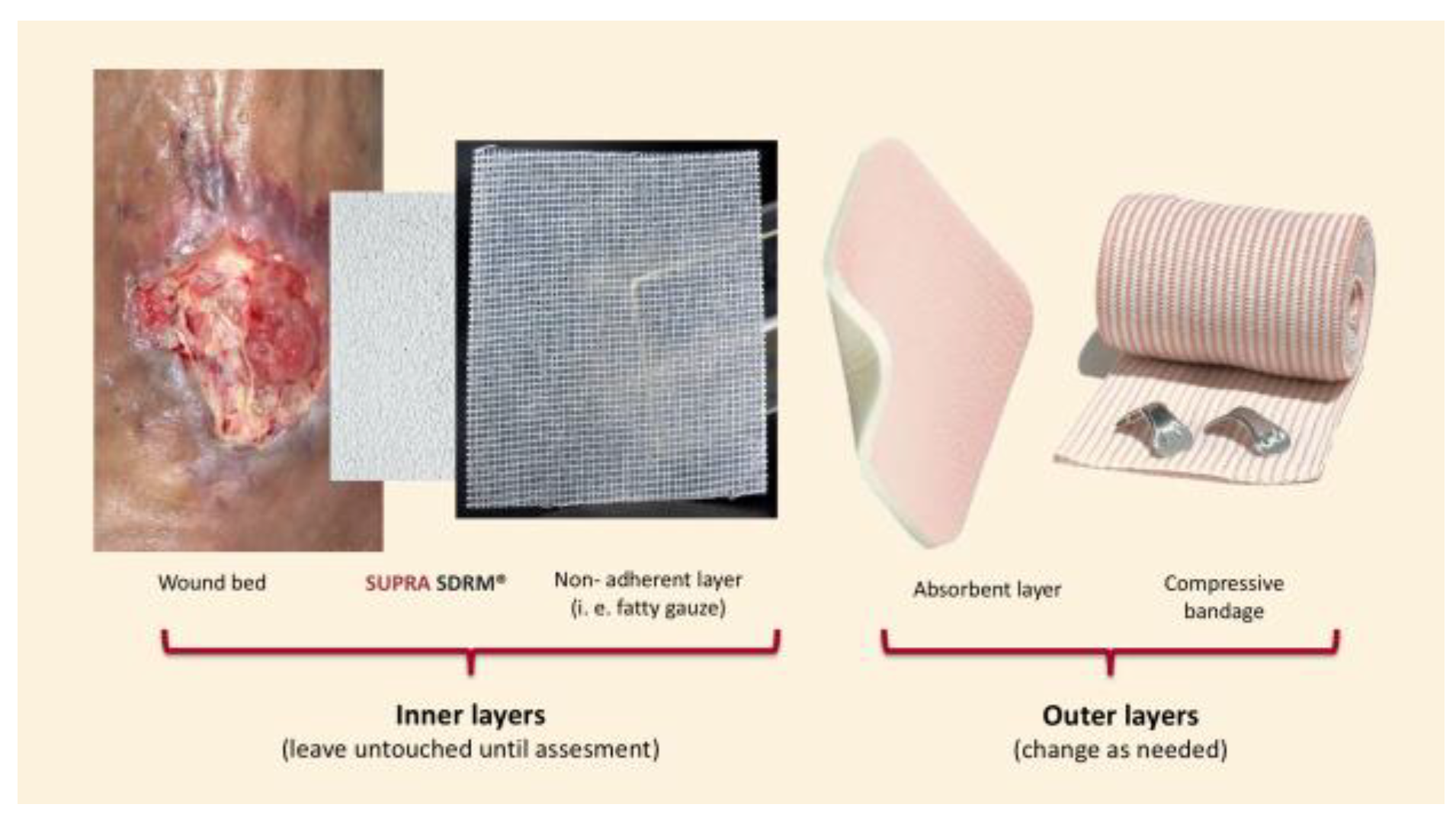 Preprints 185091 g001