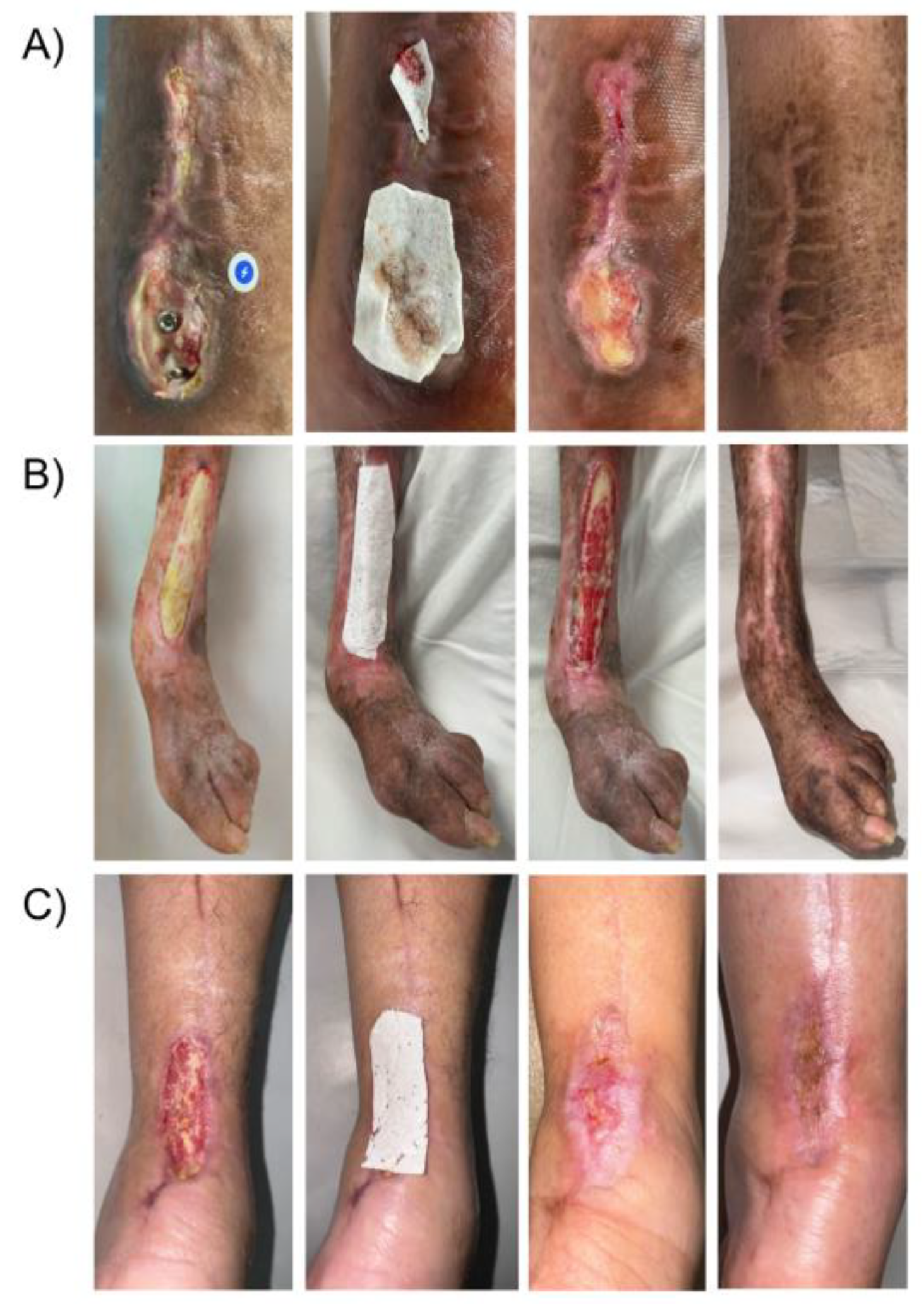 Preprints 185091 g002