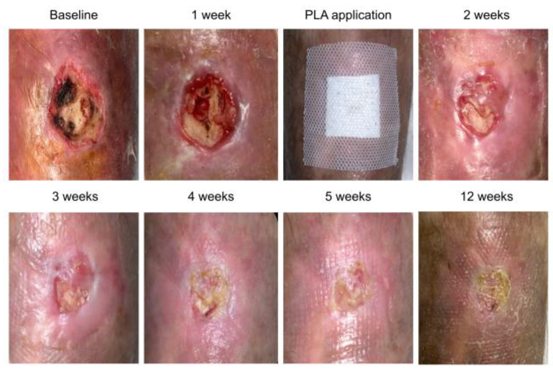 Preprints 185091 g003