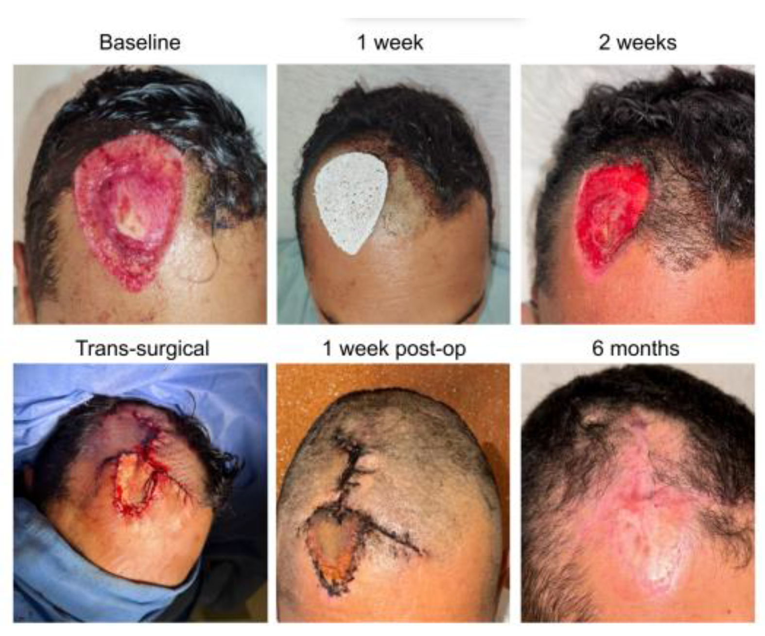 Preprints 185091 g004