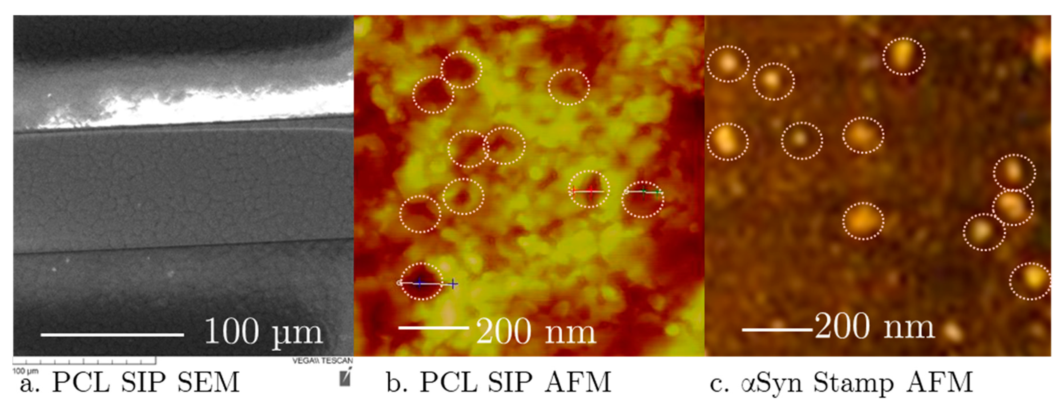Preprints 97231 g002