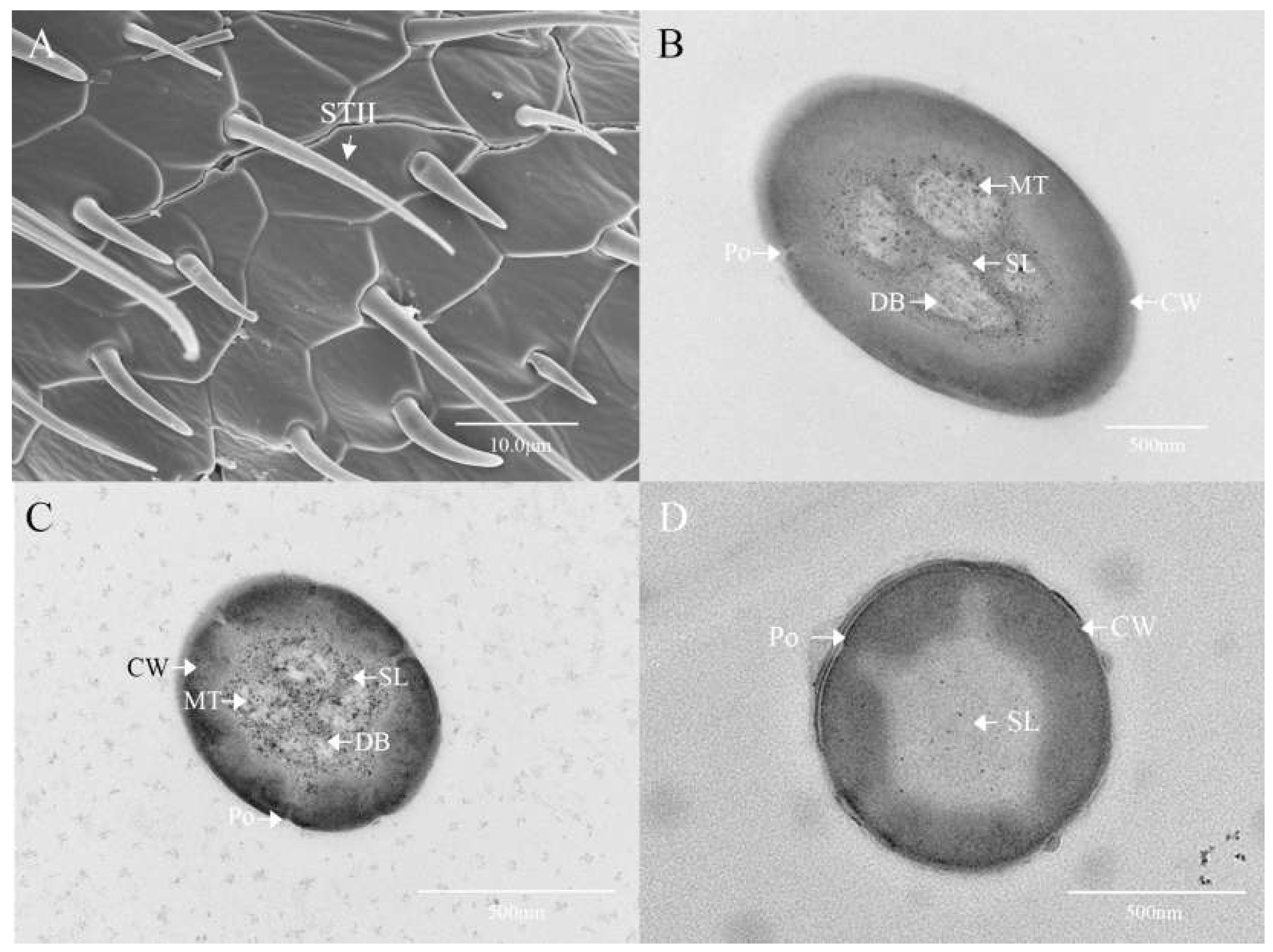 Preprints 155699 g005