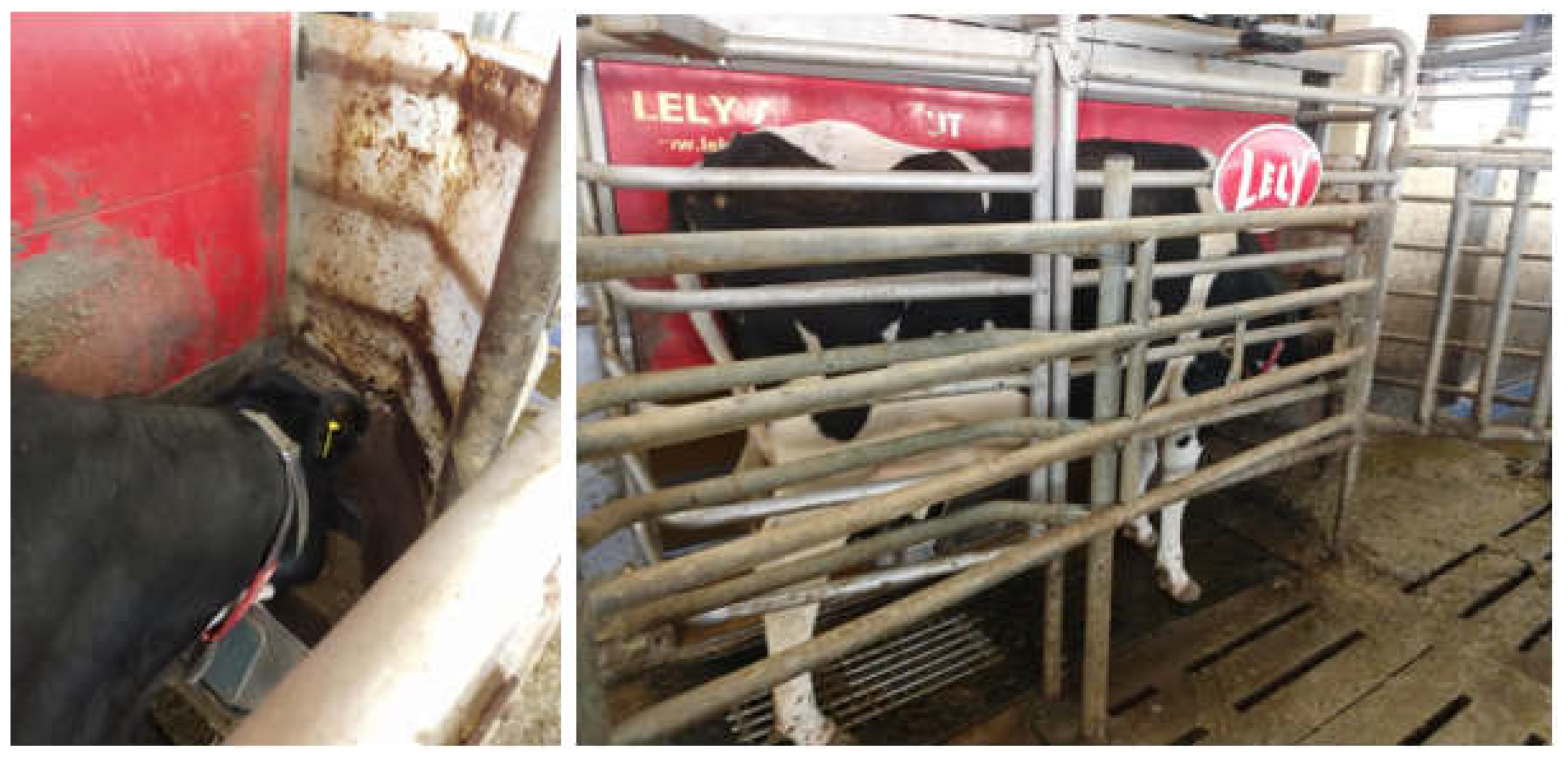 Preprints 114668 g004