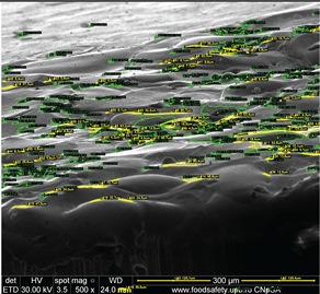 Preprints 201532 i001
