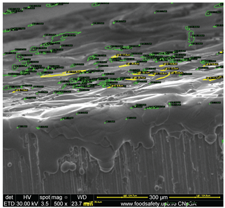 Preprints 201532 i003