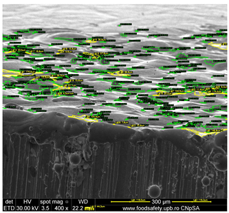 Preprints 201532 i005
