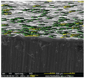Preprints 201532 i007