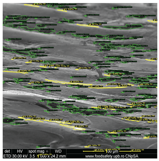 Preprints 201532 i009