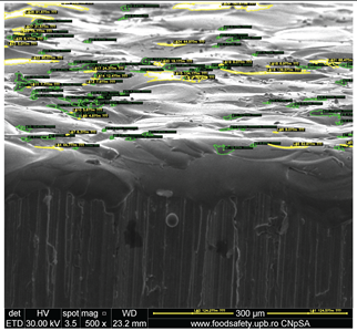 Preprints 201532 i011