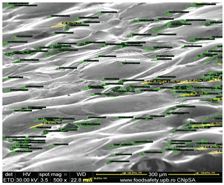 Preprints 201532 i013