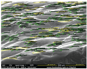 Preprints 201532 i015