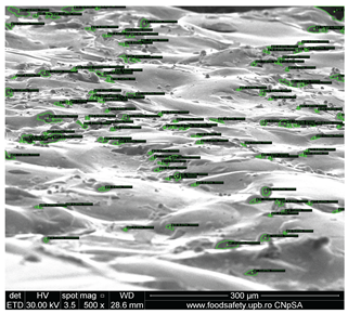 Preprints 201532 i019