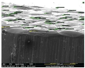 Preprints 201532 i021