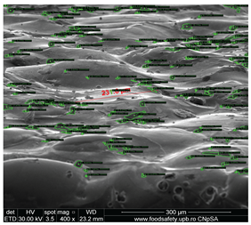 Preprints 201532 i023