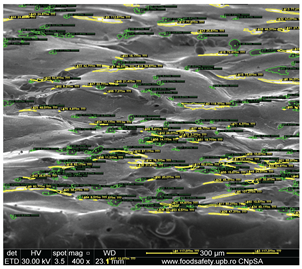 Preprints 201532 i027